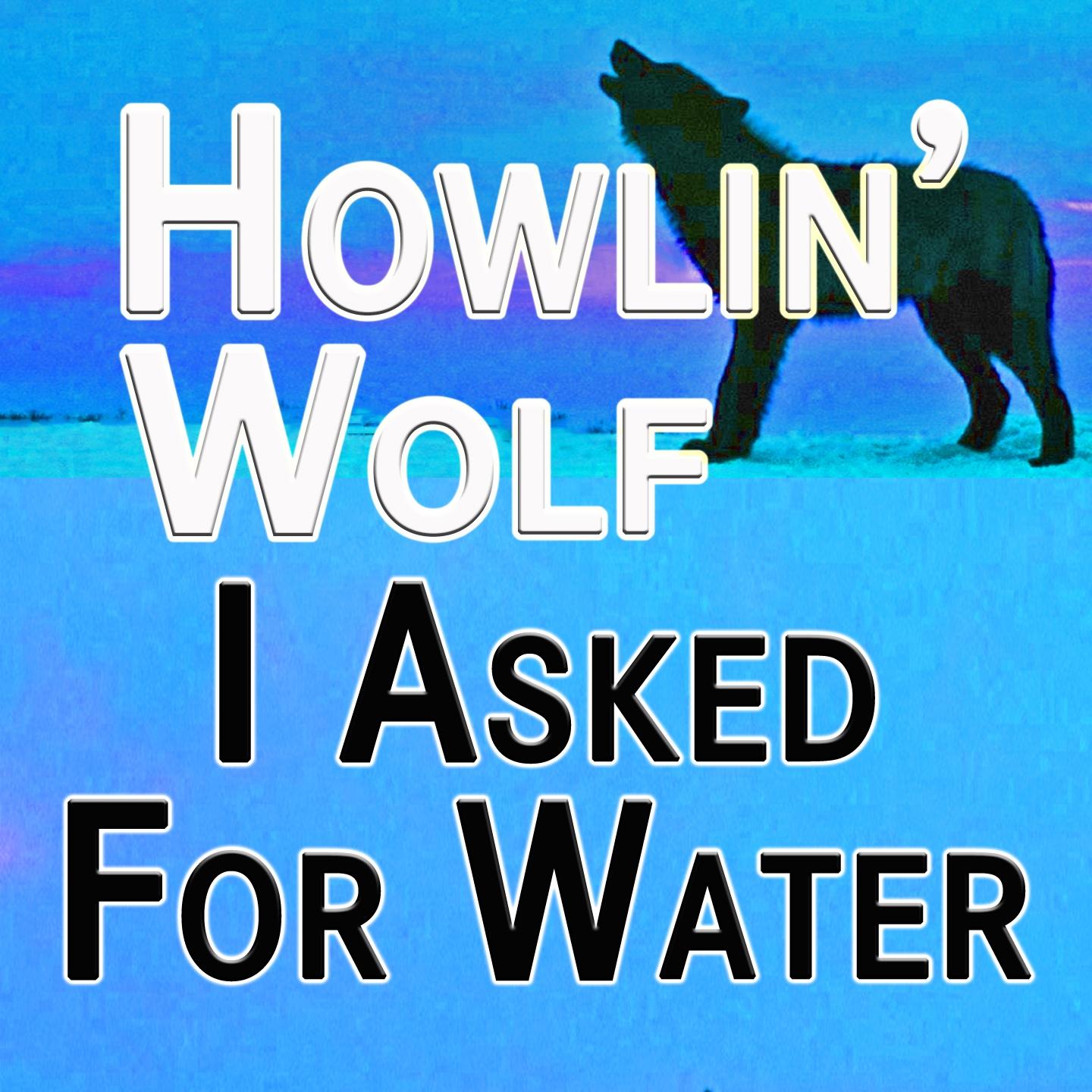 Постер альбома I Asked For Water (Original Artist Original Songs)