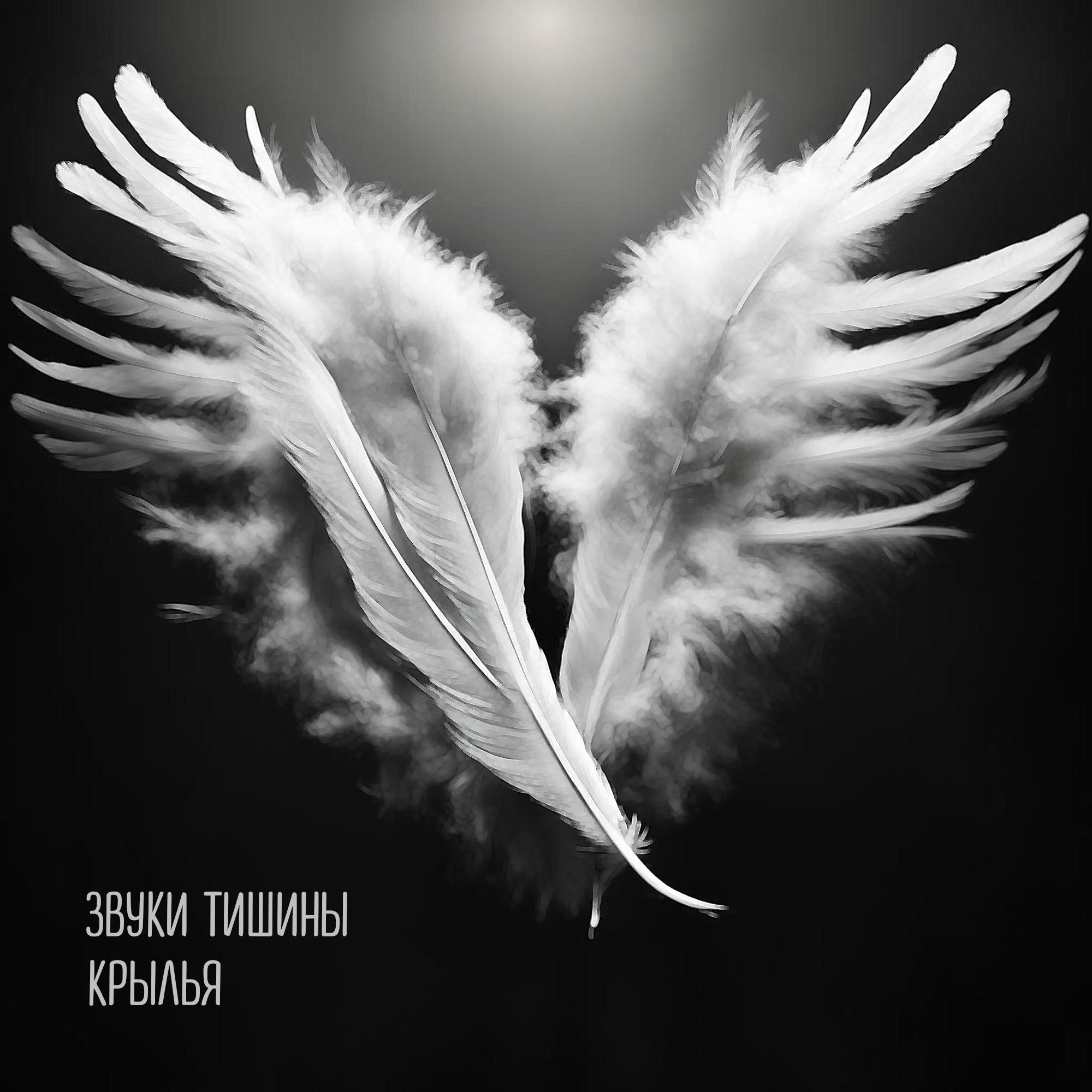 Постер альбома Крылья