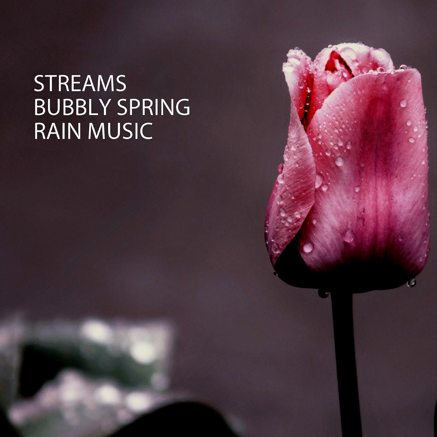 Постер альбома Streams: Bubbly Spring Rain Music