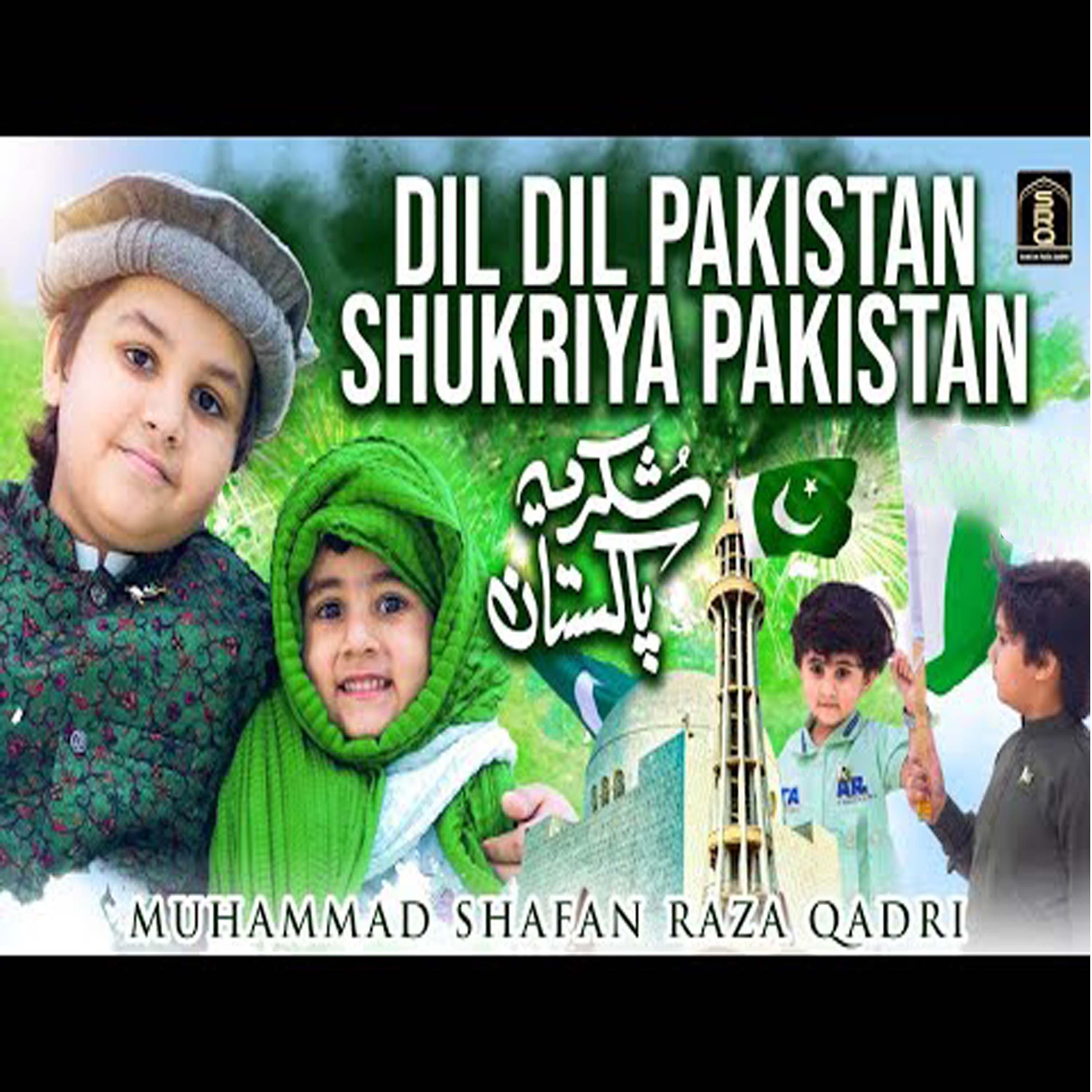Постер альбома Dil Dil Pakistan Shukriya Pakistan