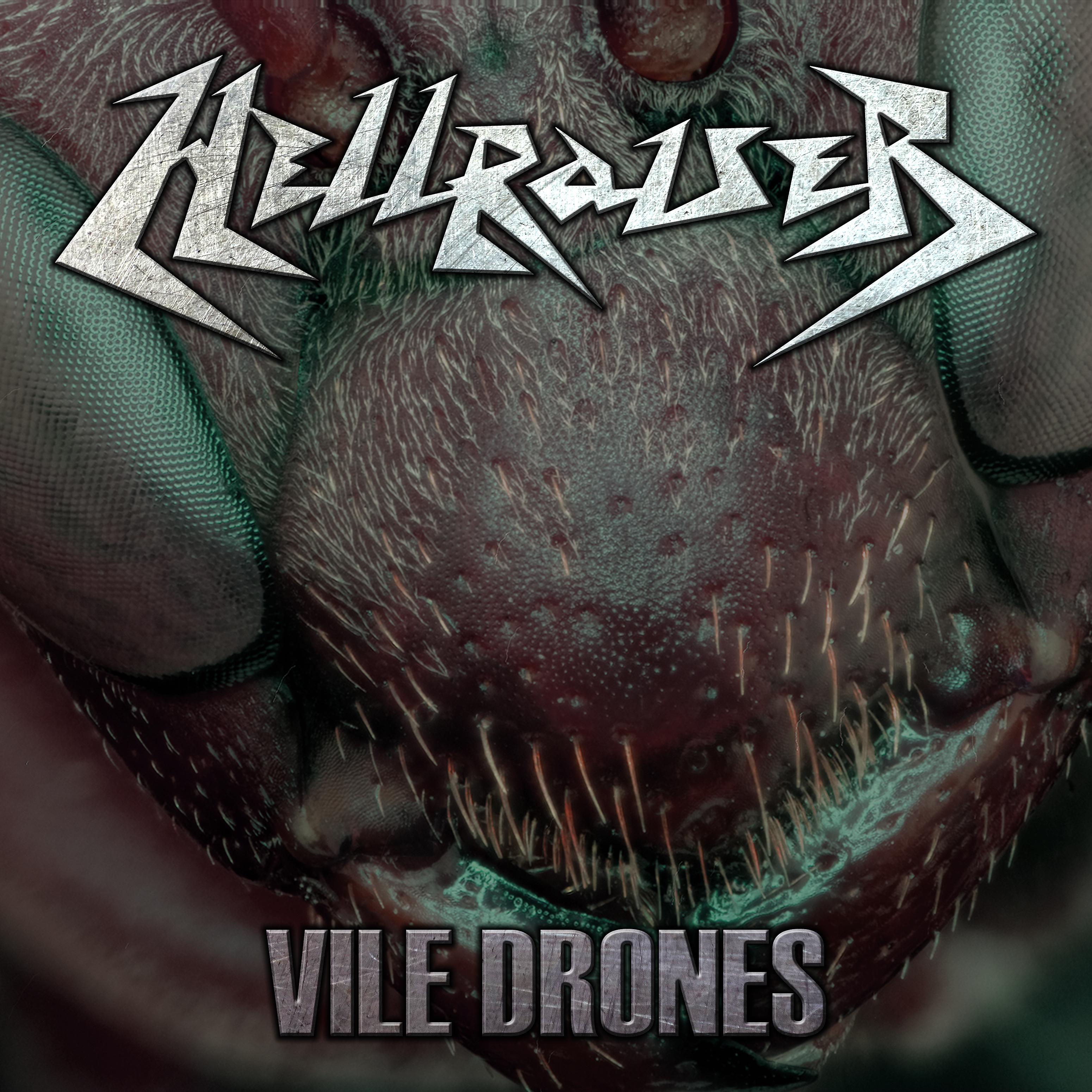 Постер альбома Vile Drones