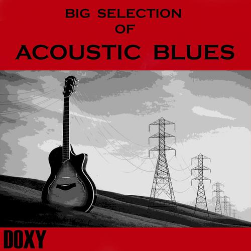 Постер альбома Big Selection of Acoustic Blues (Doxy Collection)