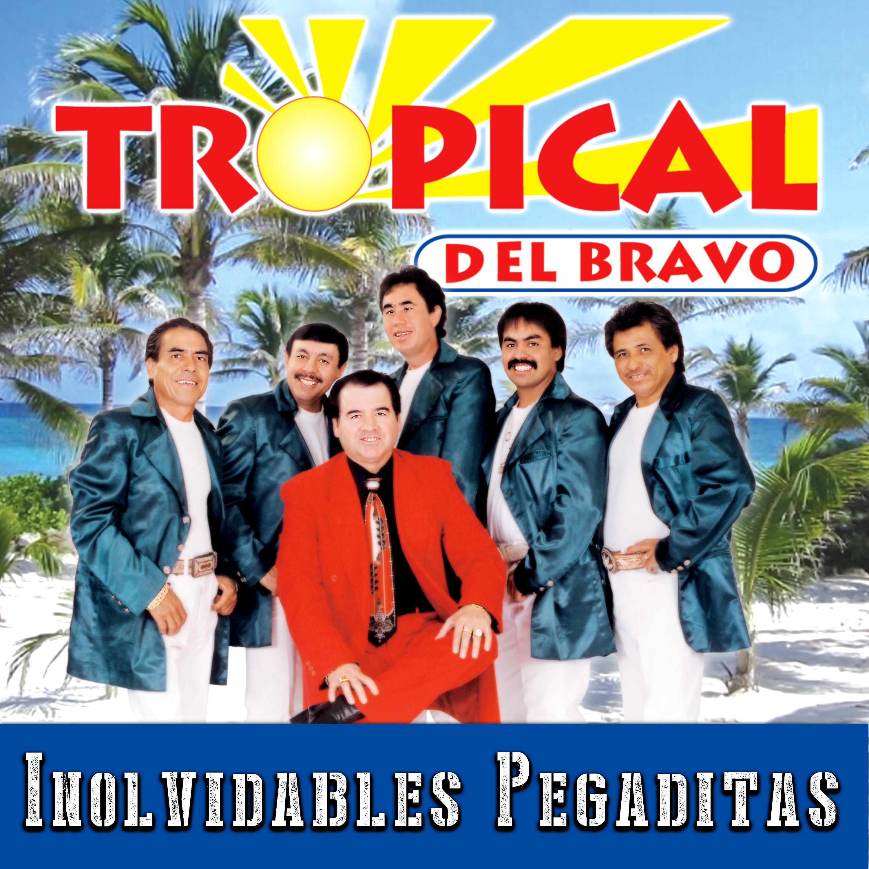 Постер альбома Inolvidables Pegaditas (Remix)