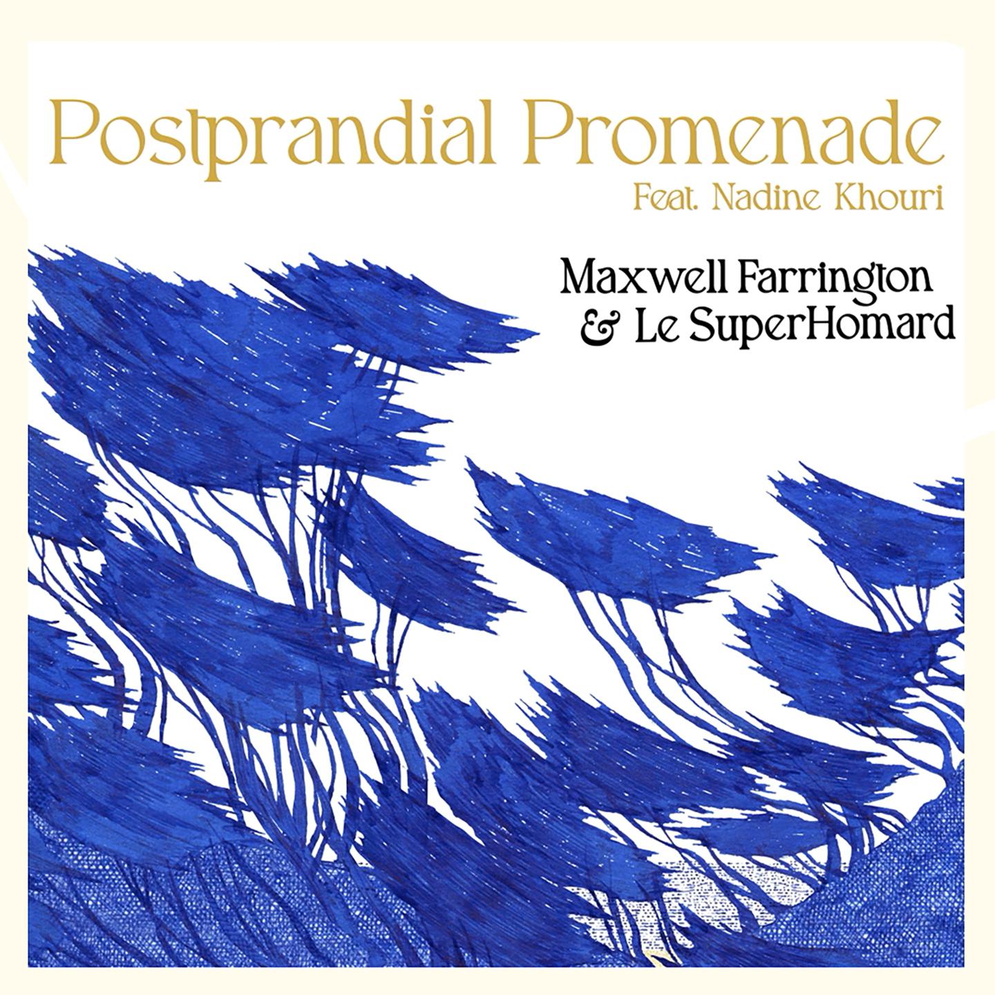 Постер альбома Postprandial Promenade