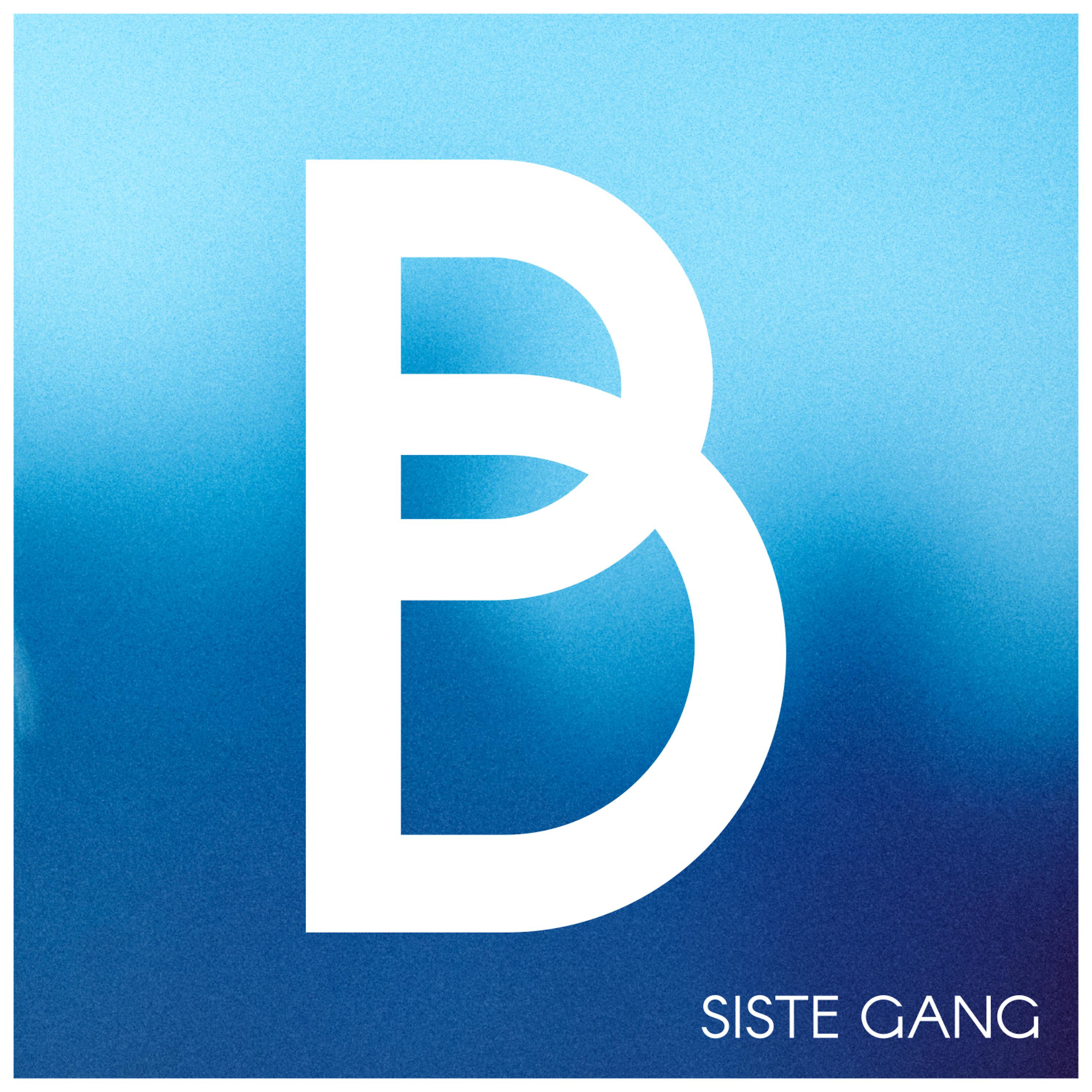 Постер альбома Siste gang