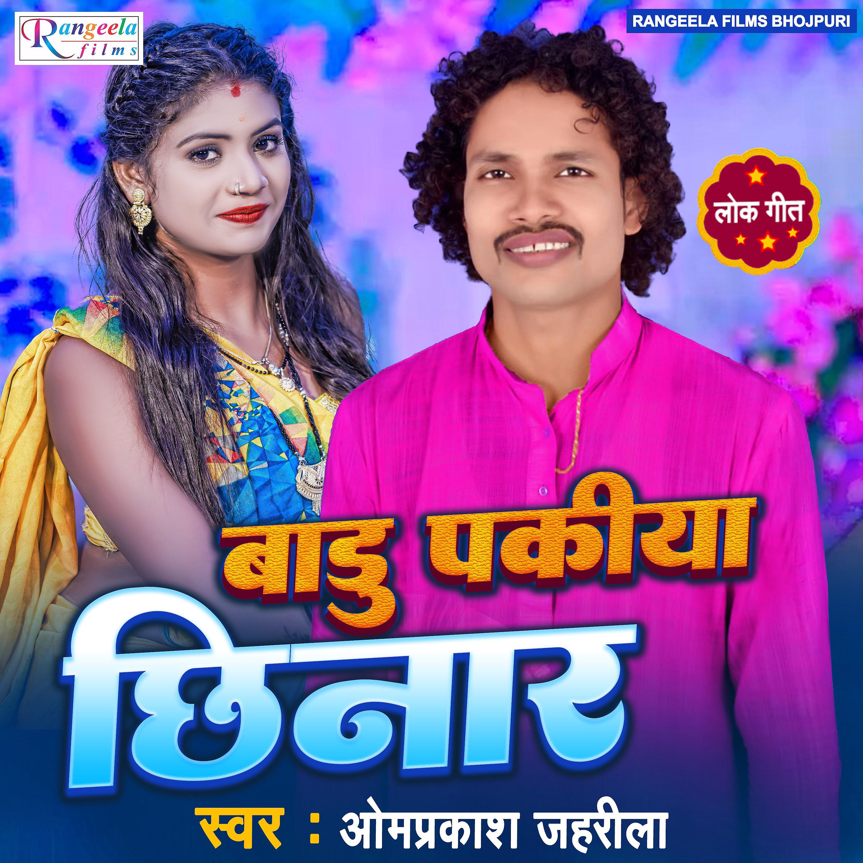 Постер альбома Badu Pakiya Chhinar