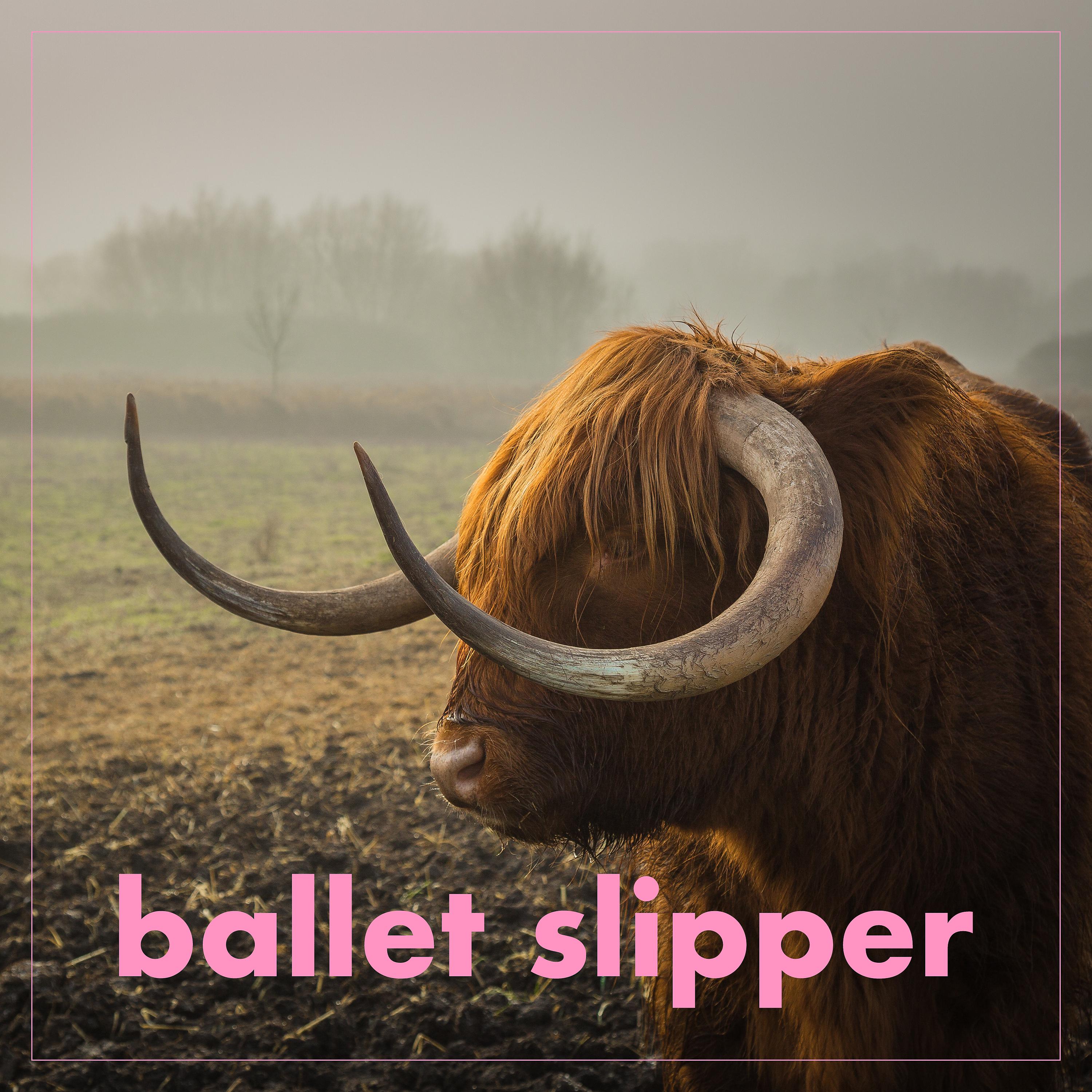Постер альбома Ballet slipper