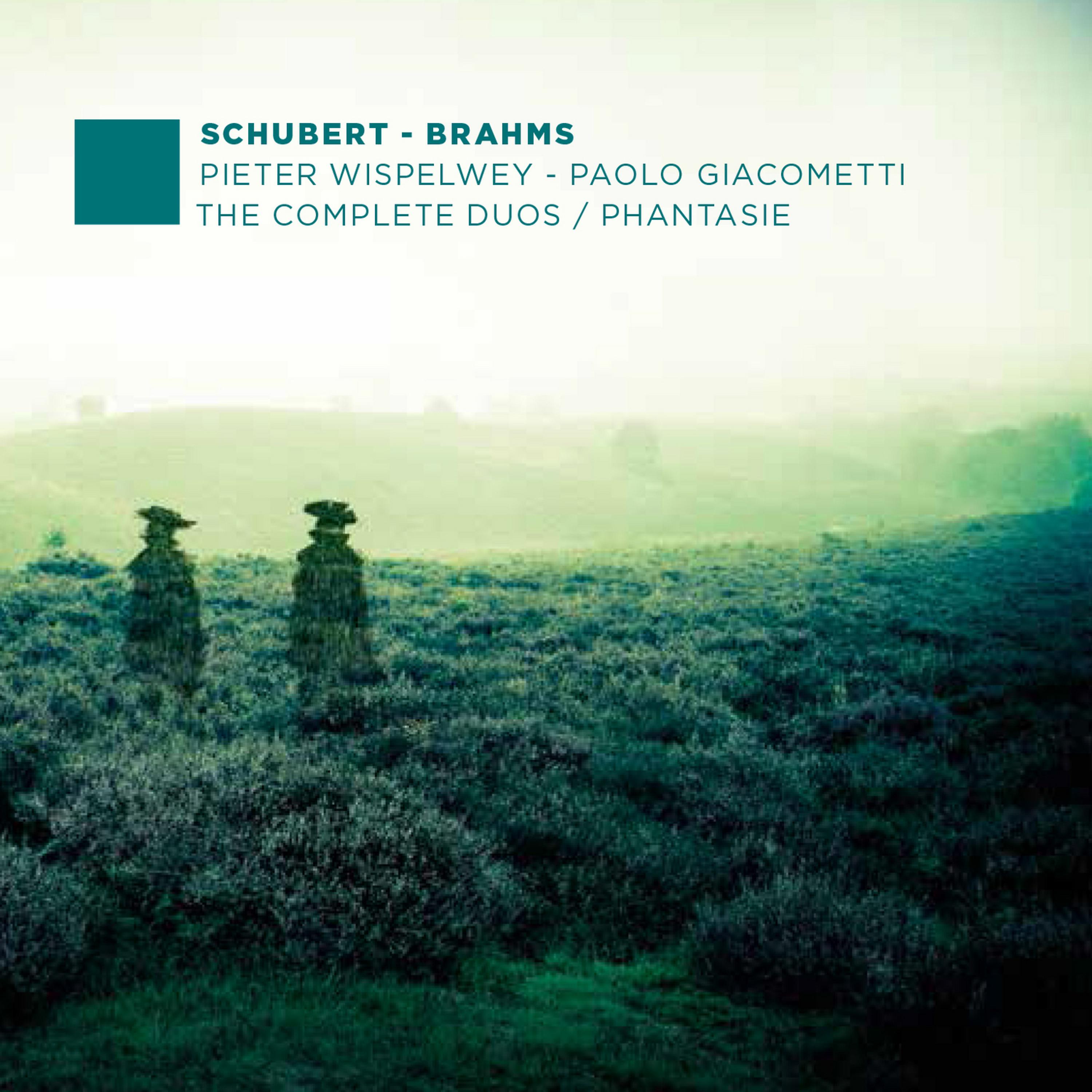 Постер альбома F. Schubert, J. Brahms: The Complete Duos - Phantasie