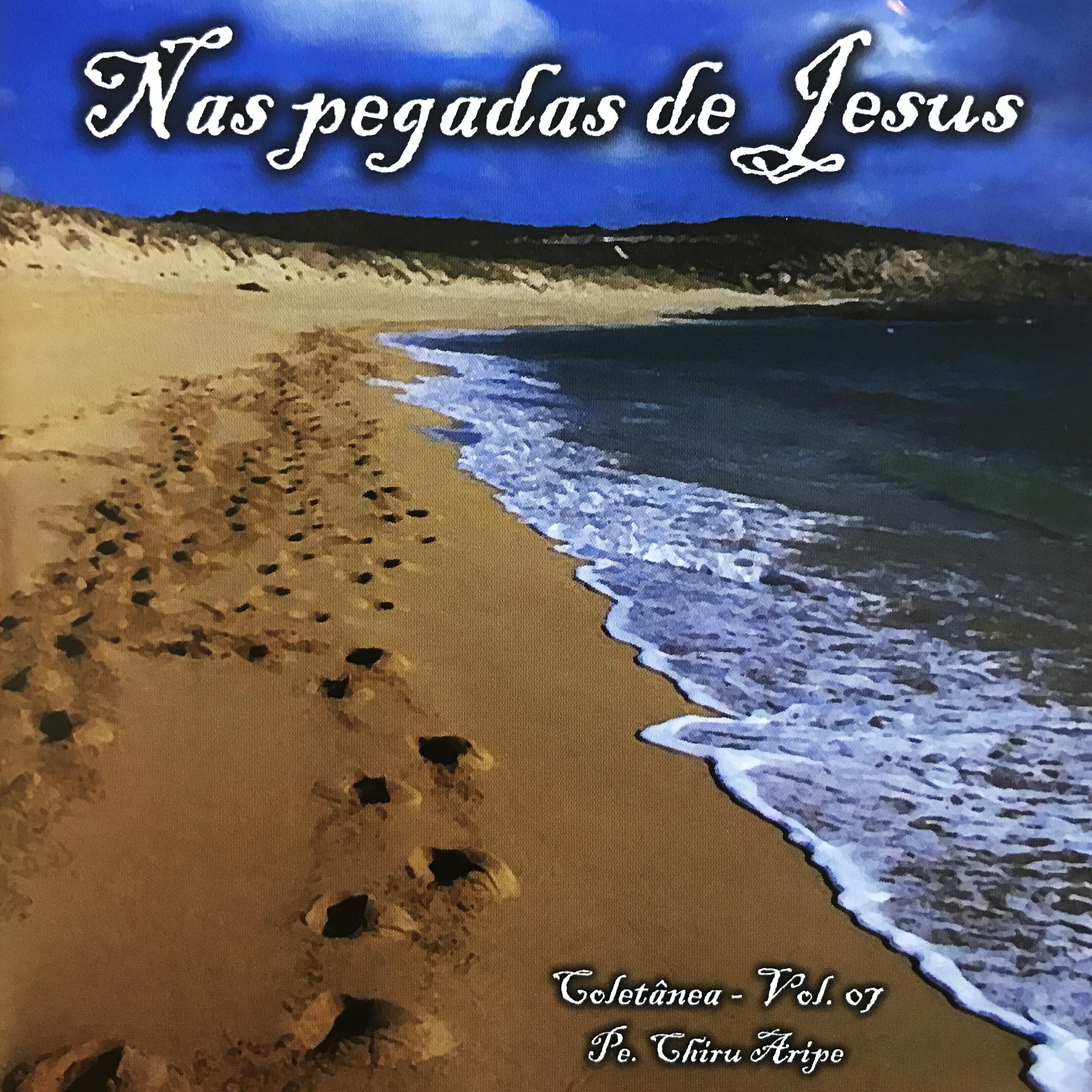 Постер альбома Nas Pegadas de Jesus, Vol. 7