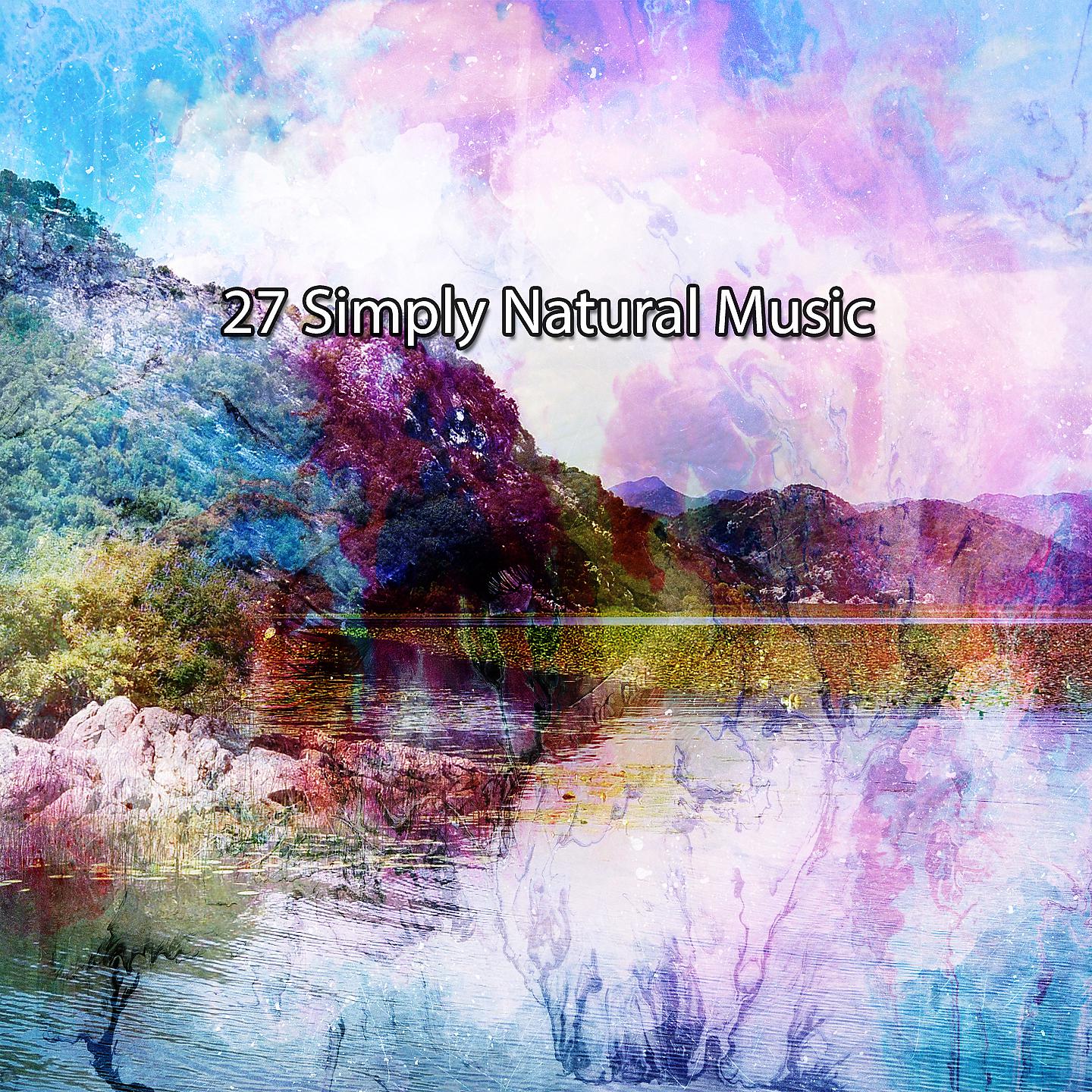 Постер альбома 27 Simply Natural Music