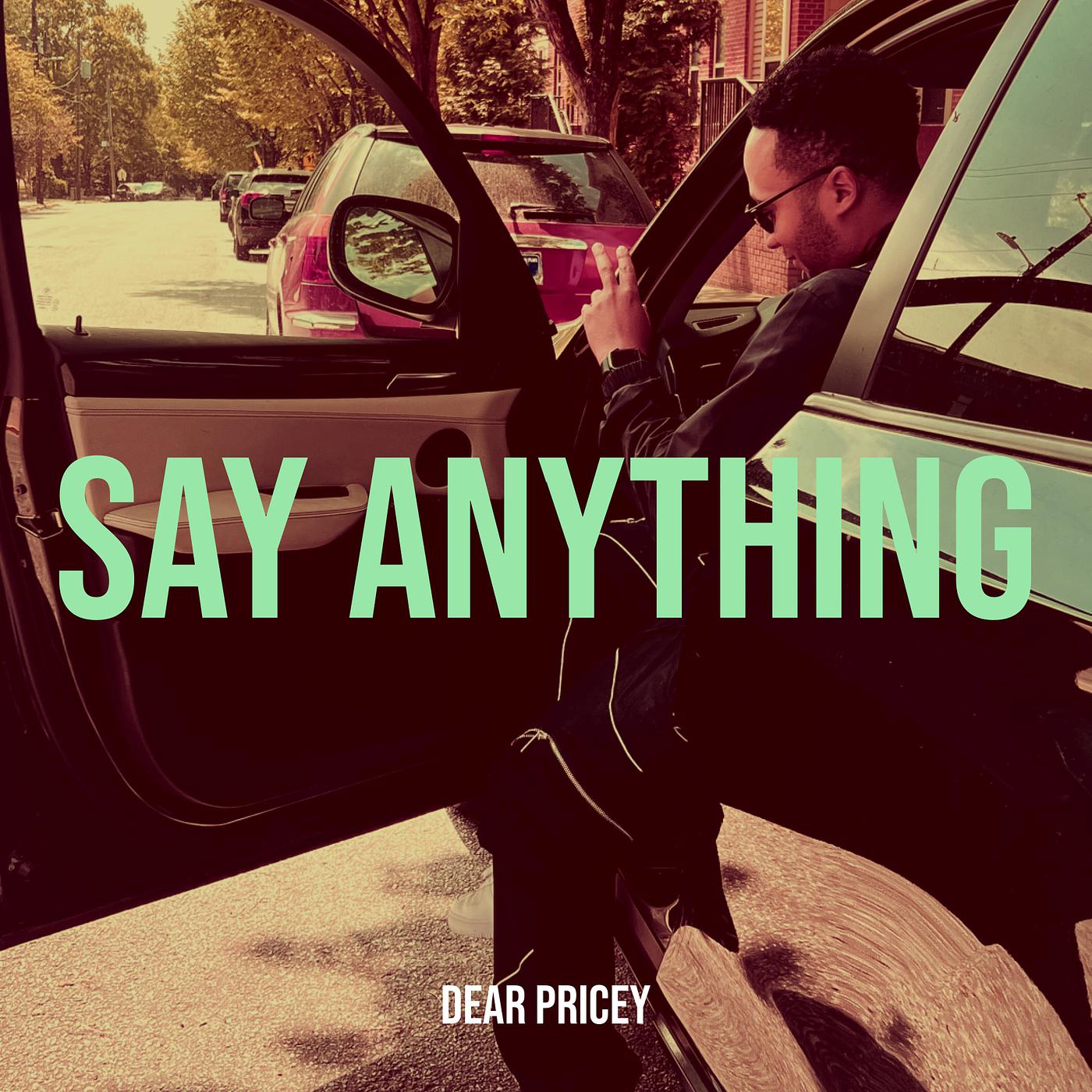Постер альбома Say Anything