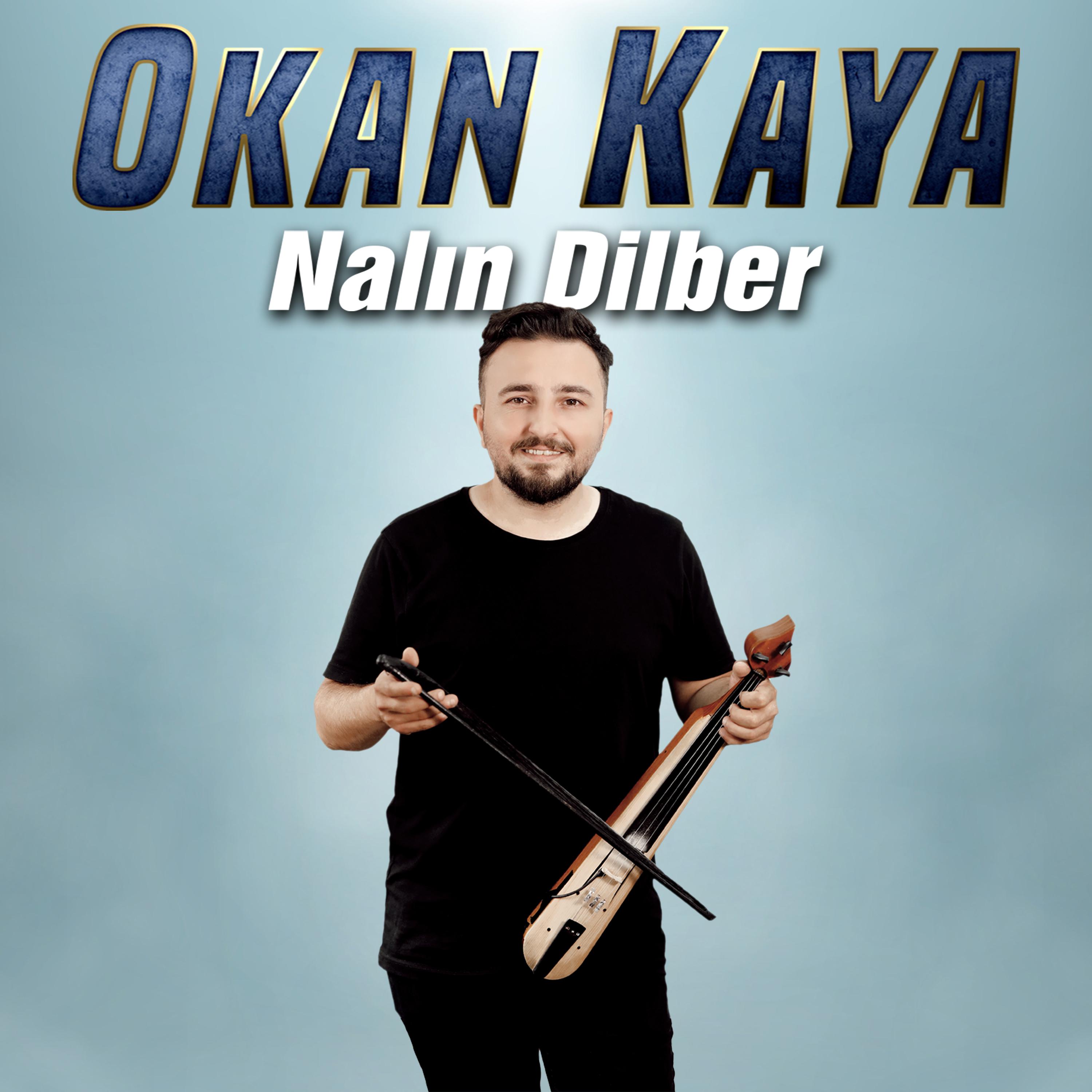 Постер альбома Nalın Dilber