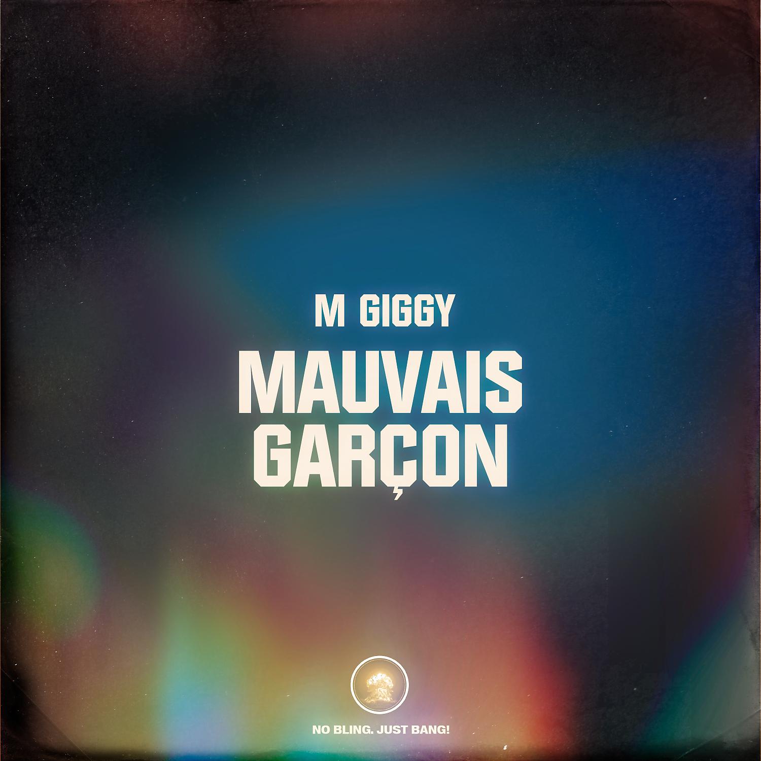 Постер альбома Mauvais Garcon