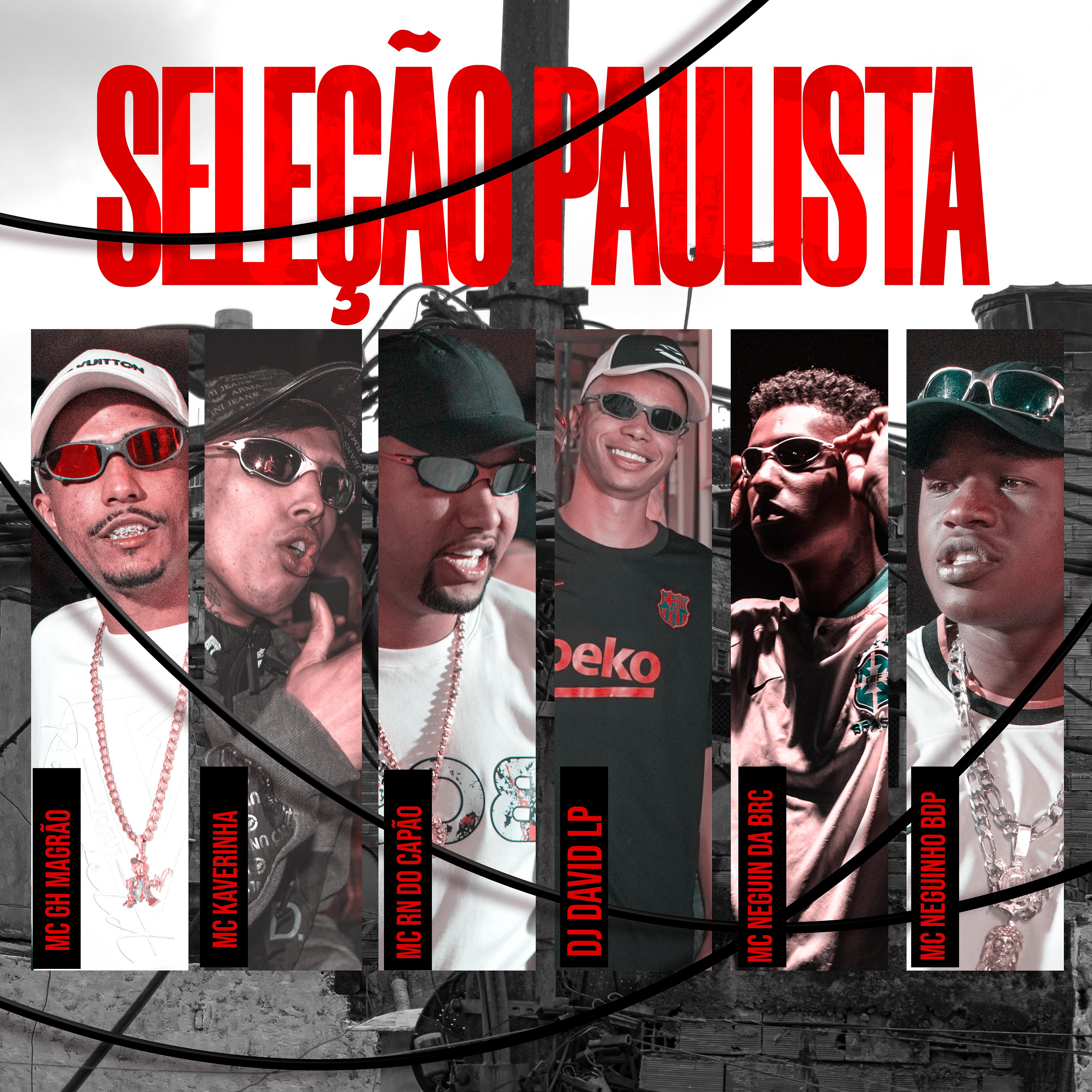 Постер альбома Seleção Paulista