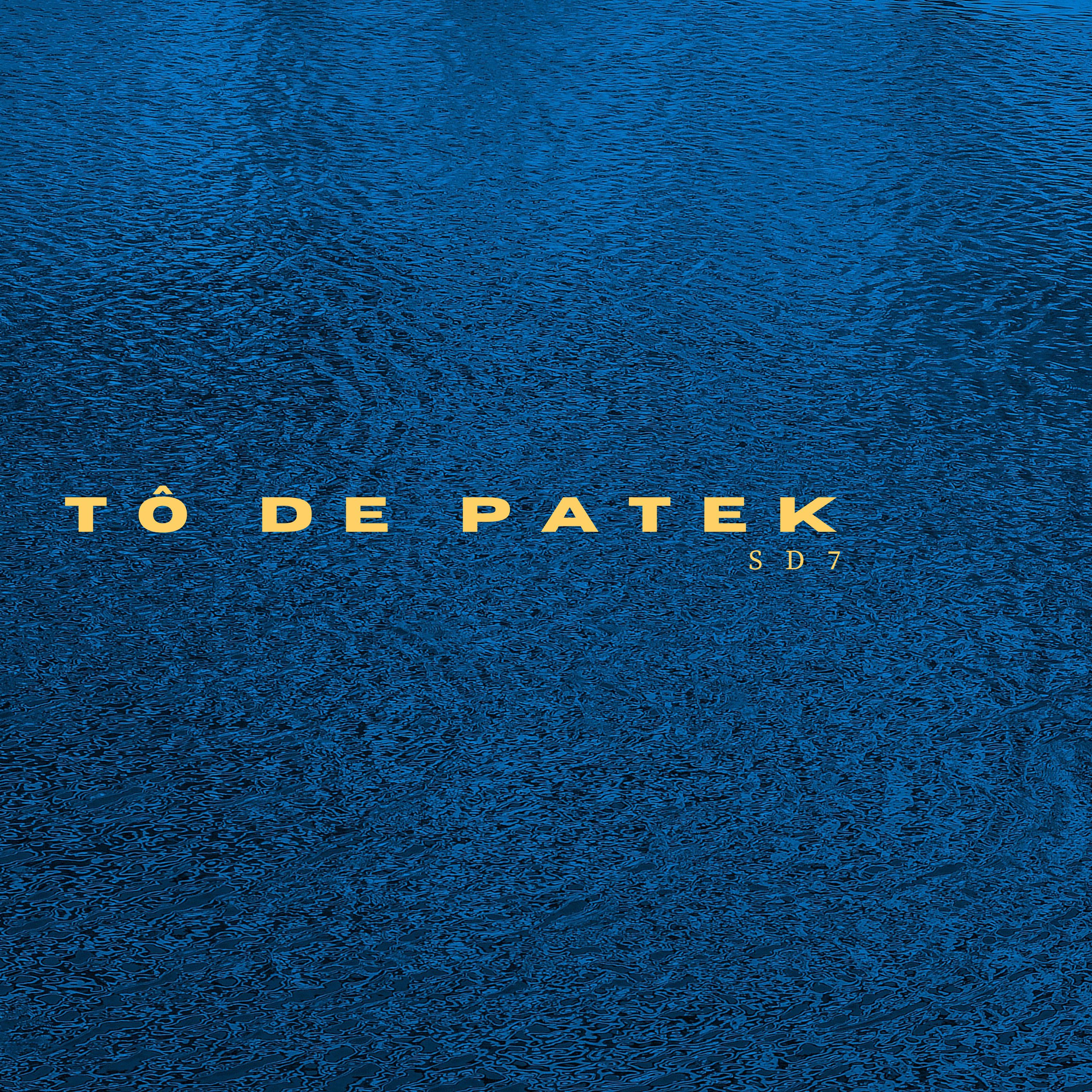 Постер альбома Tô de Patek