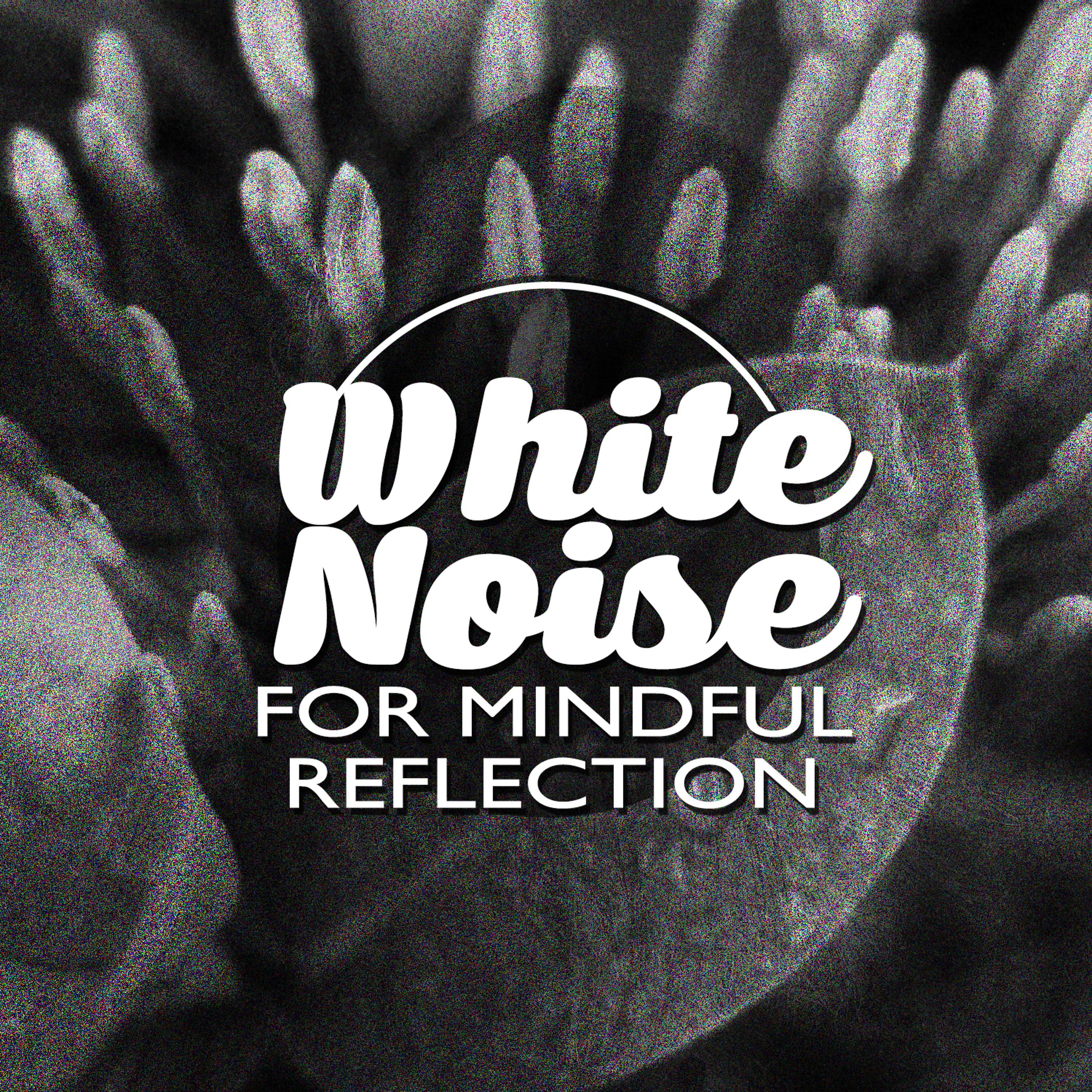 Постер альбома White Noise for Mindful Reflection