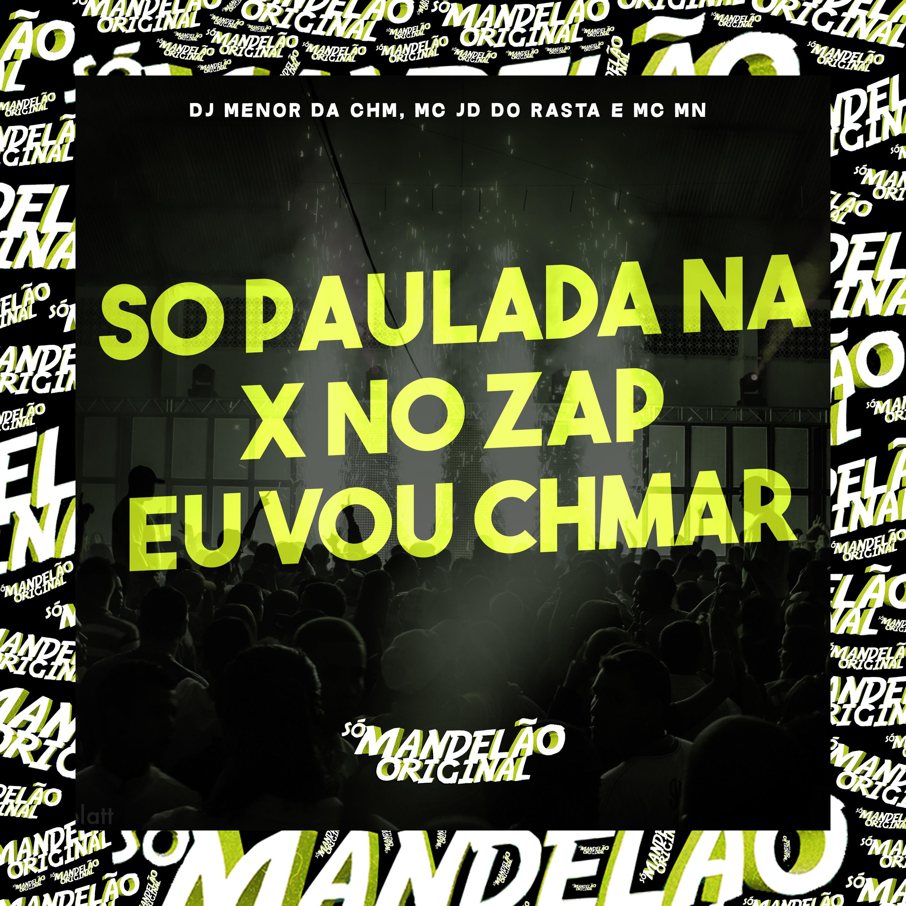 Постер альбома So Paulada na X no Zap Eu Vou Chmar