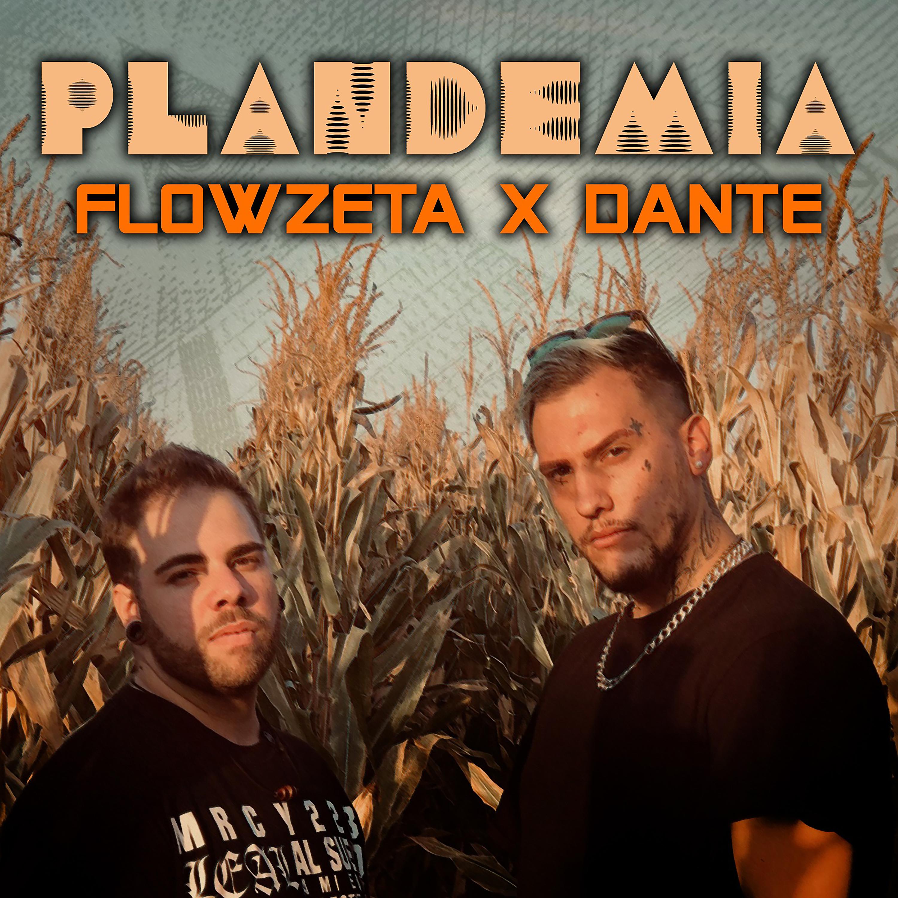 Постер альбома Plandemia
