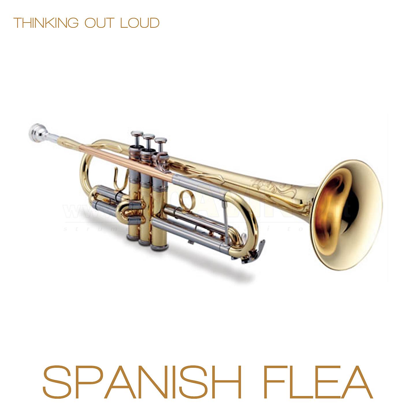 Постер альбома SPANISH FLEA