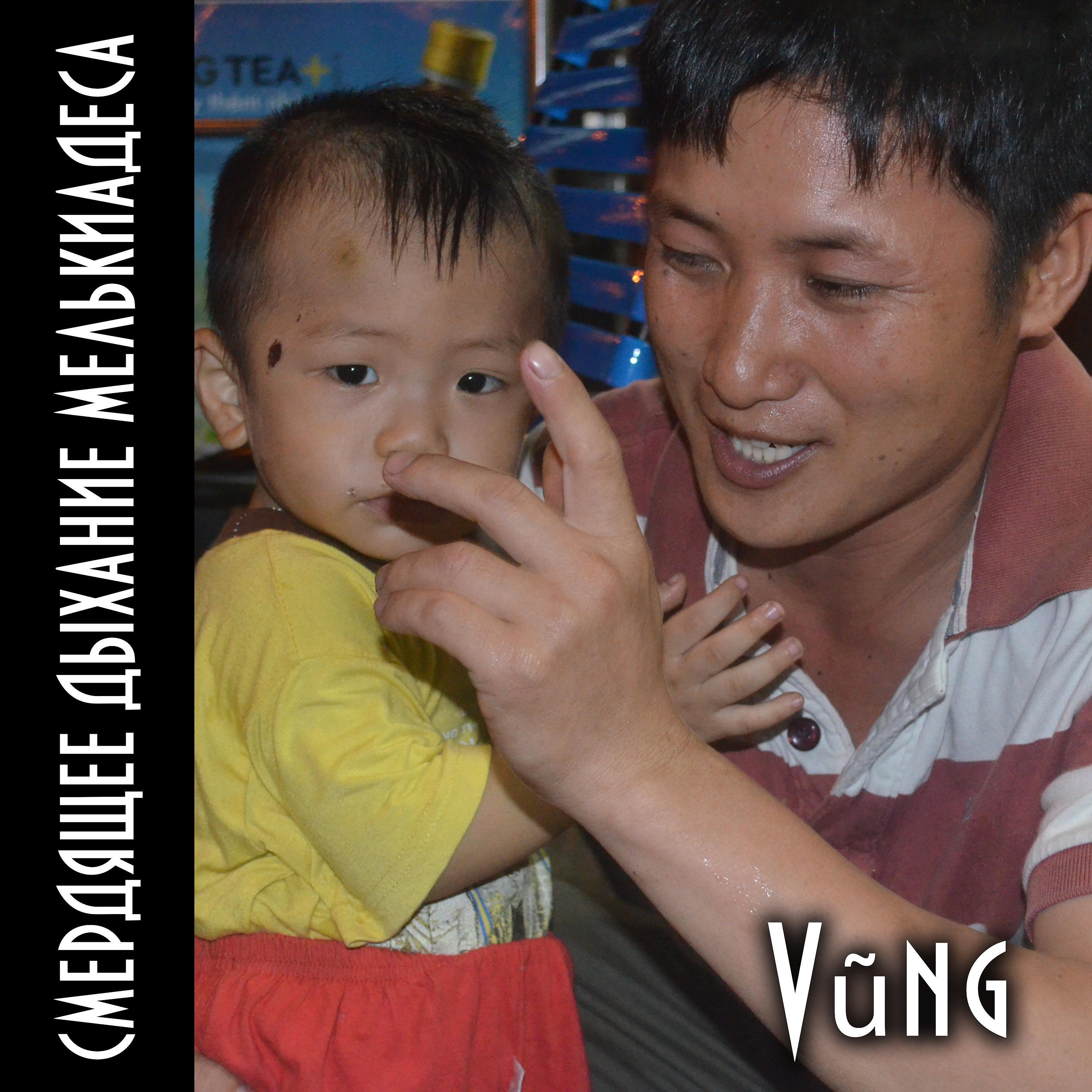 Постер альбома Vũng