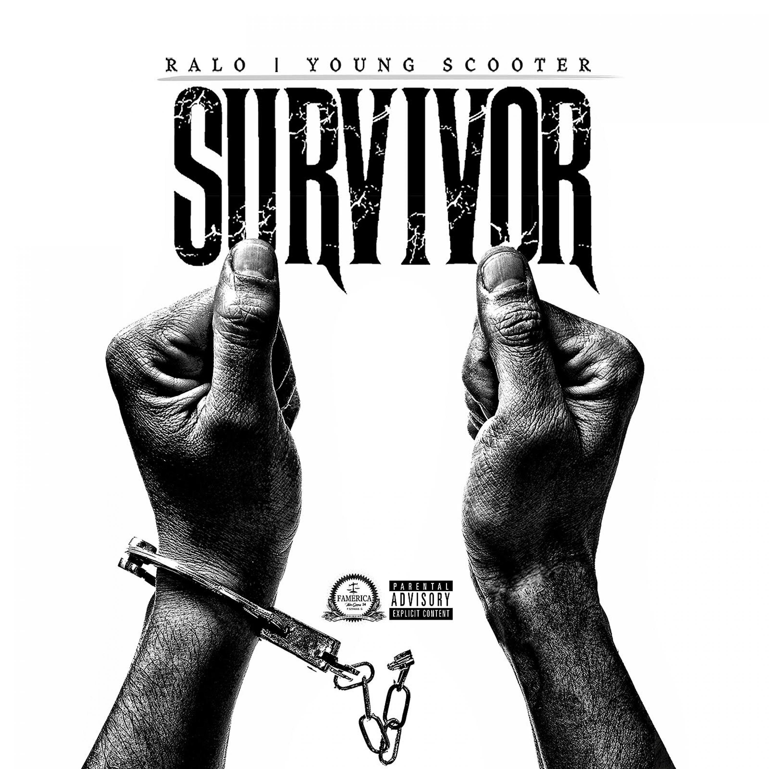 Постер альбома Survivor - Single