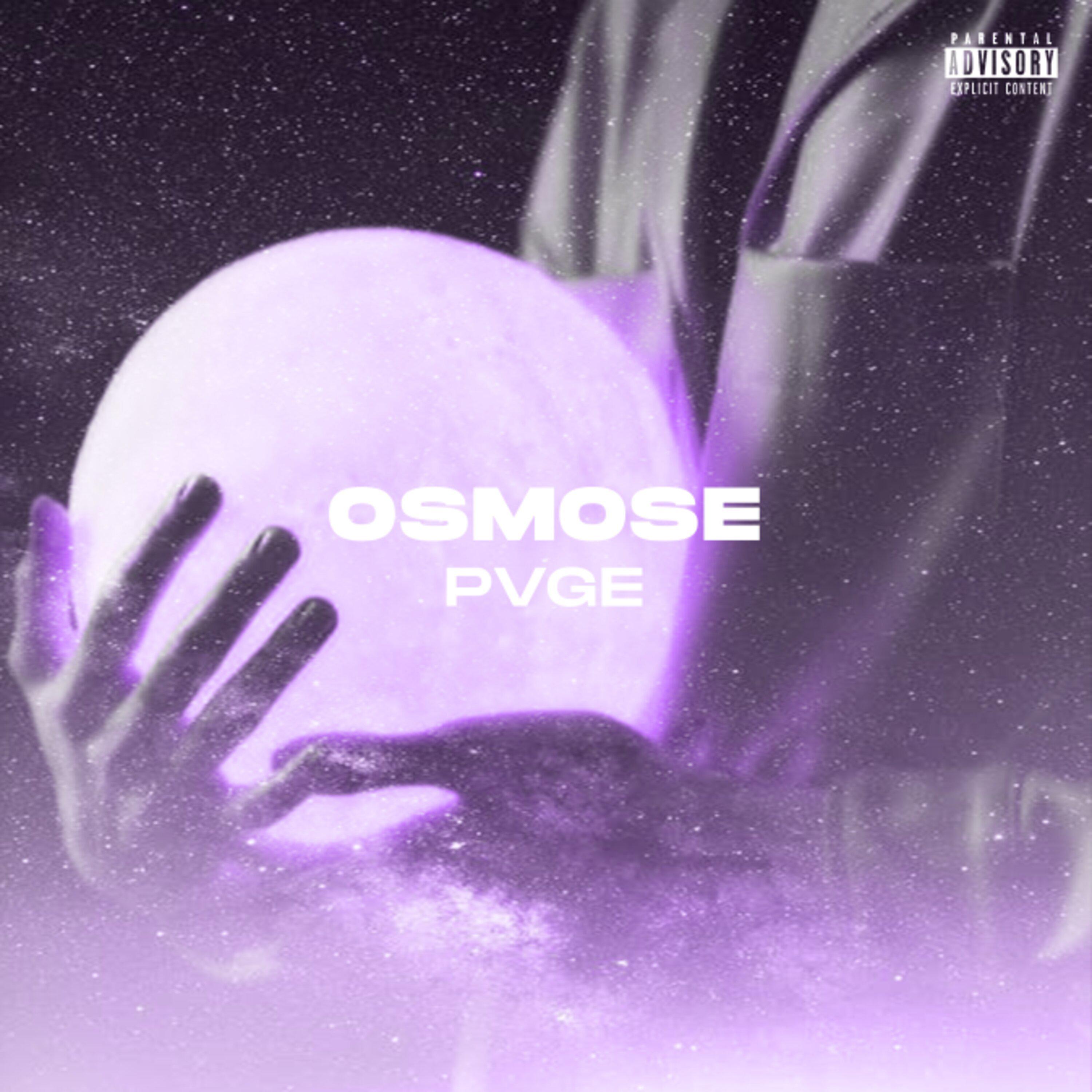 Постер альбома Osmose