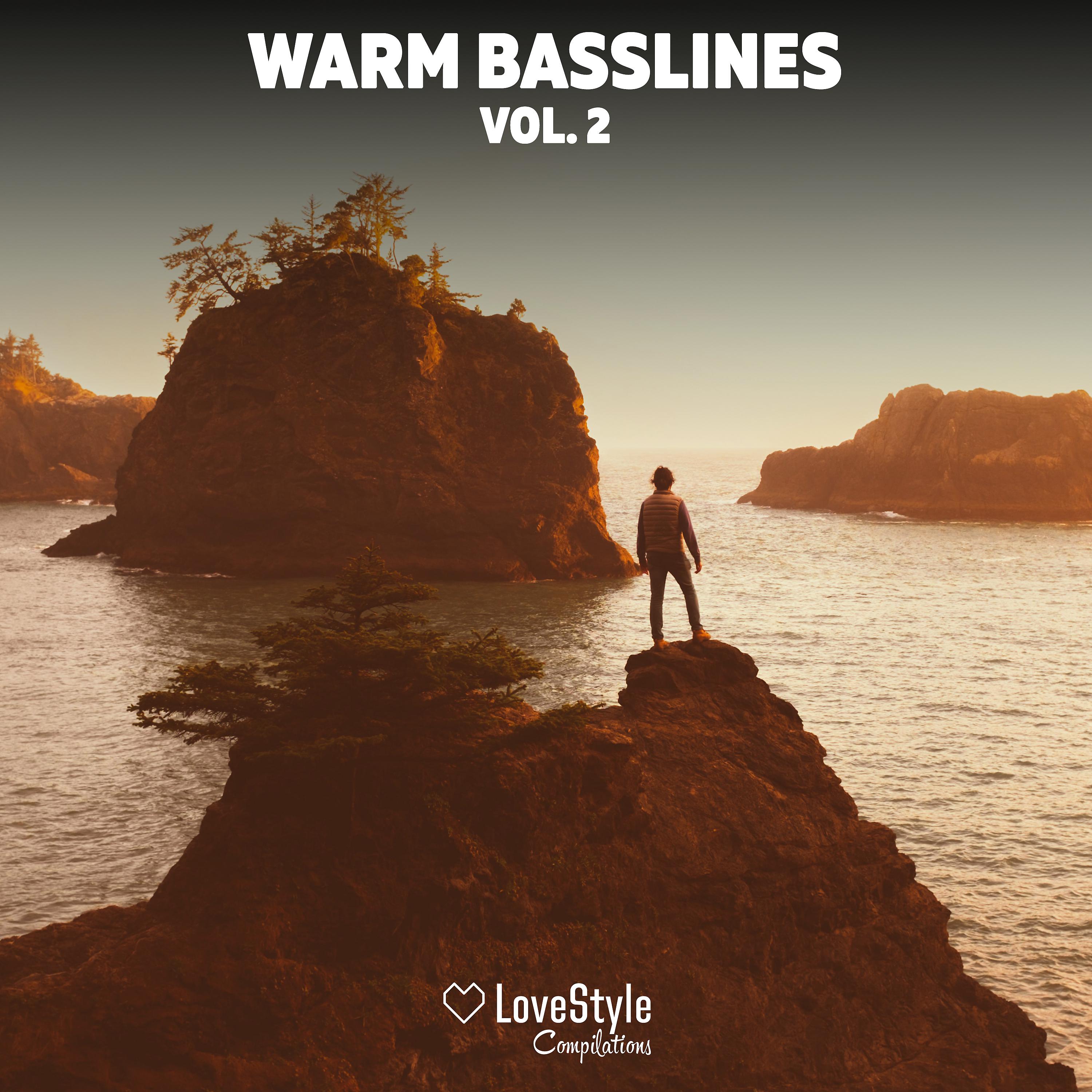 Постер альбома Warm Basslines Vol. 2