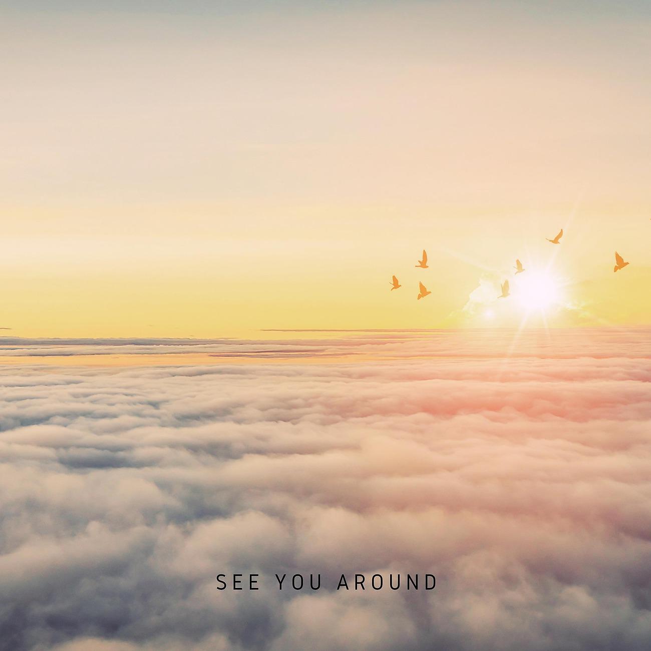 Постер альбома See You Around