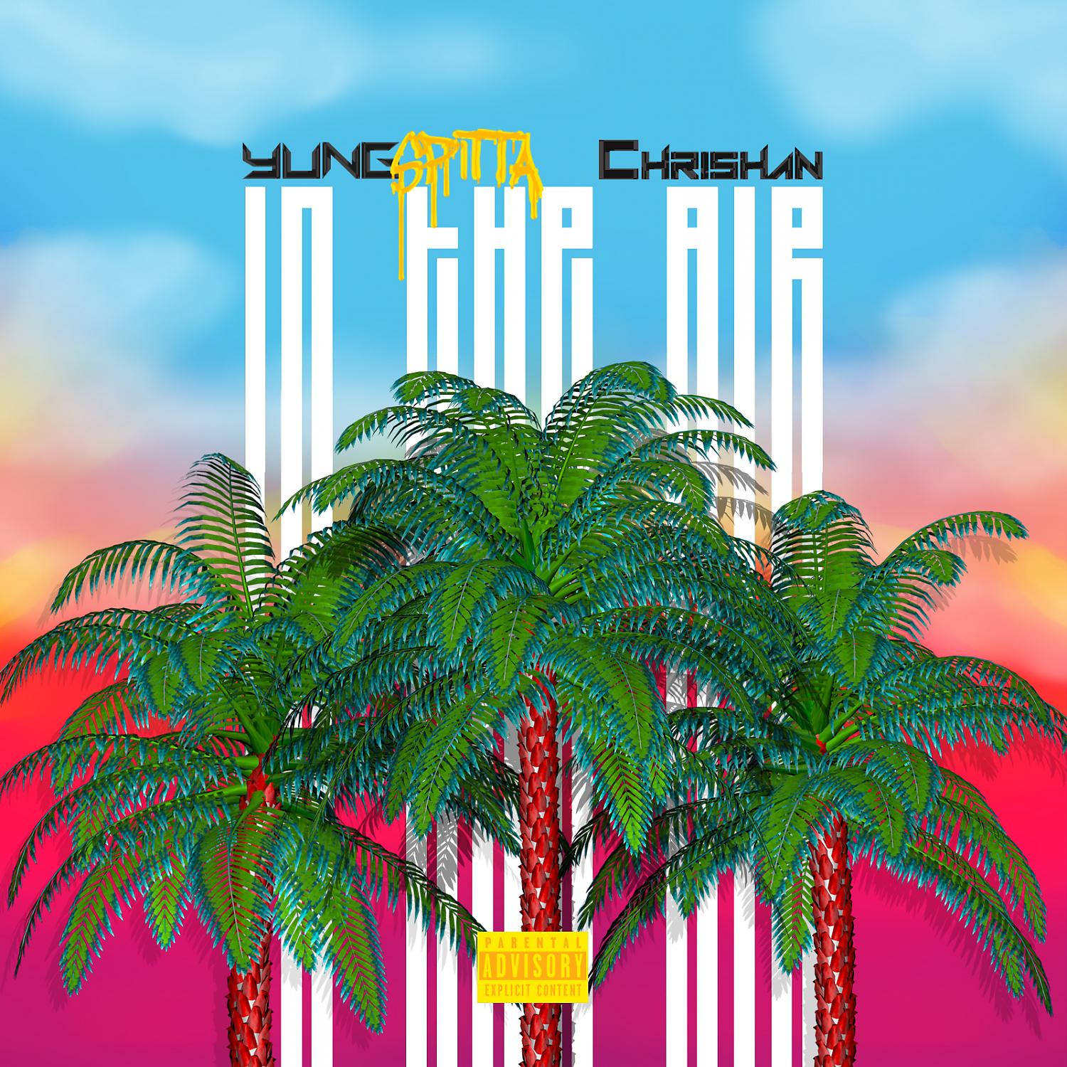 Постер альбома In The Air (feat. Chrishan) - Single