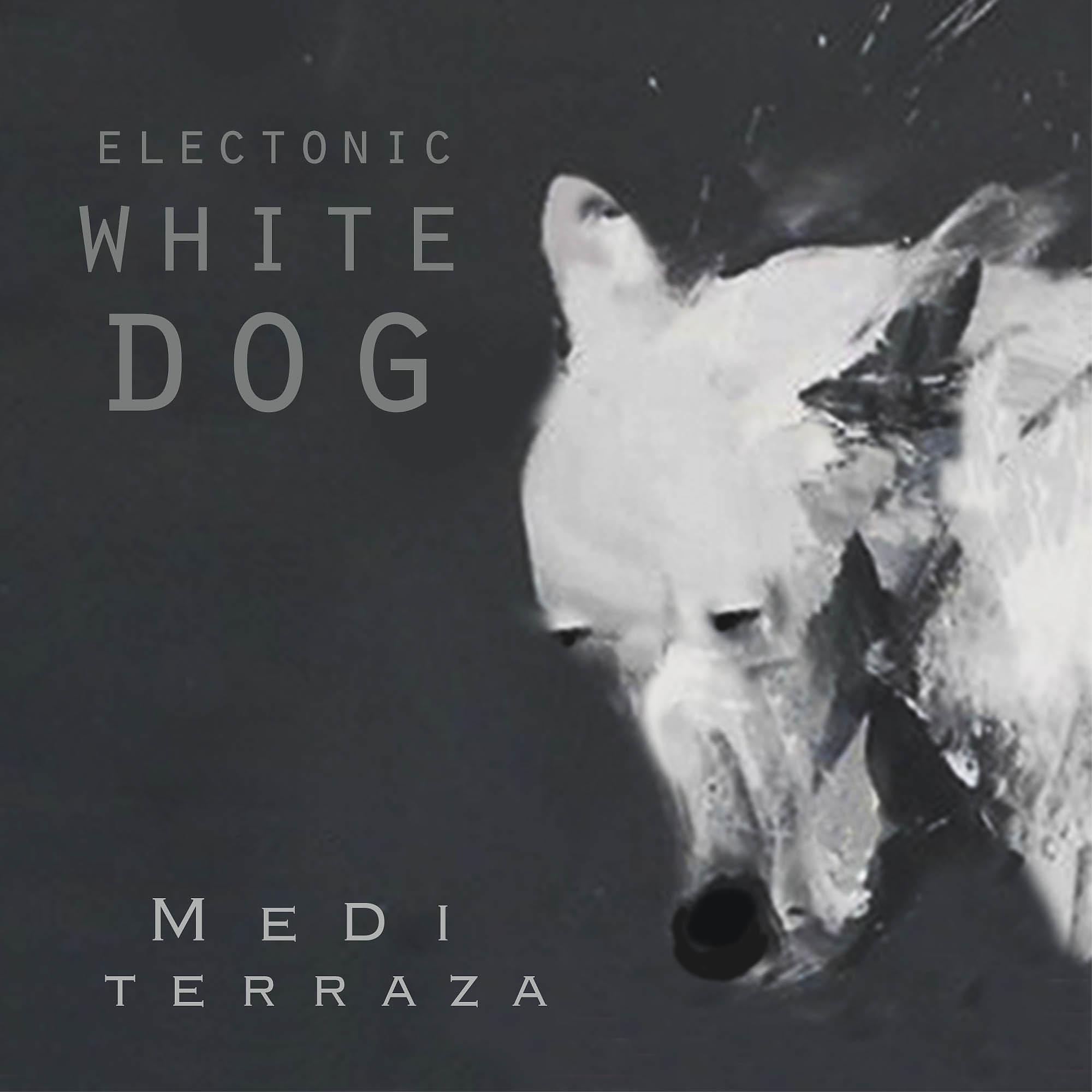 Постер альбома Electonic White Dog