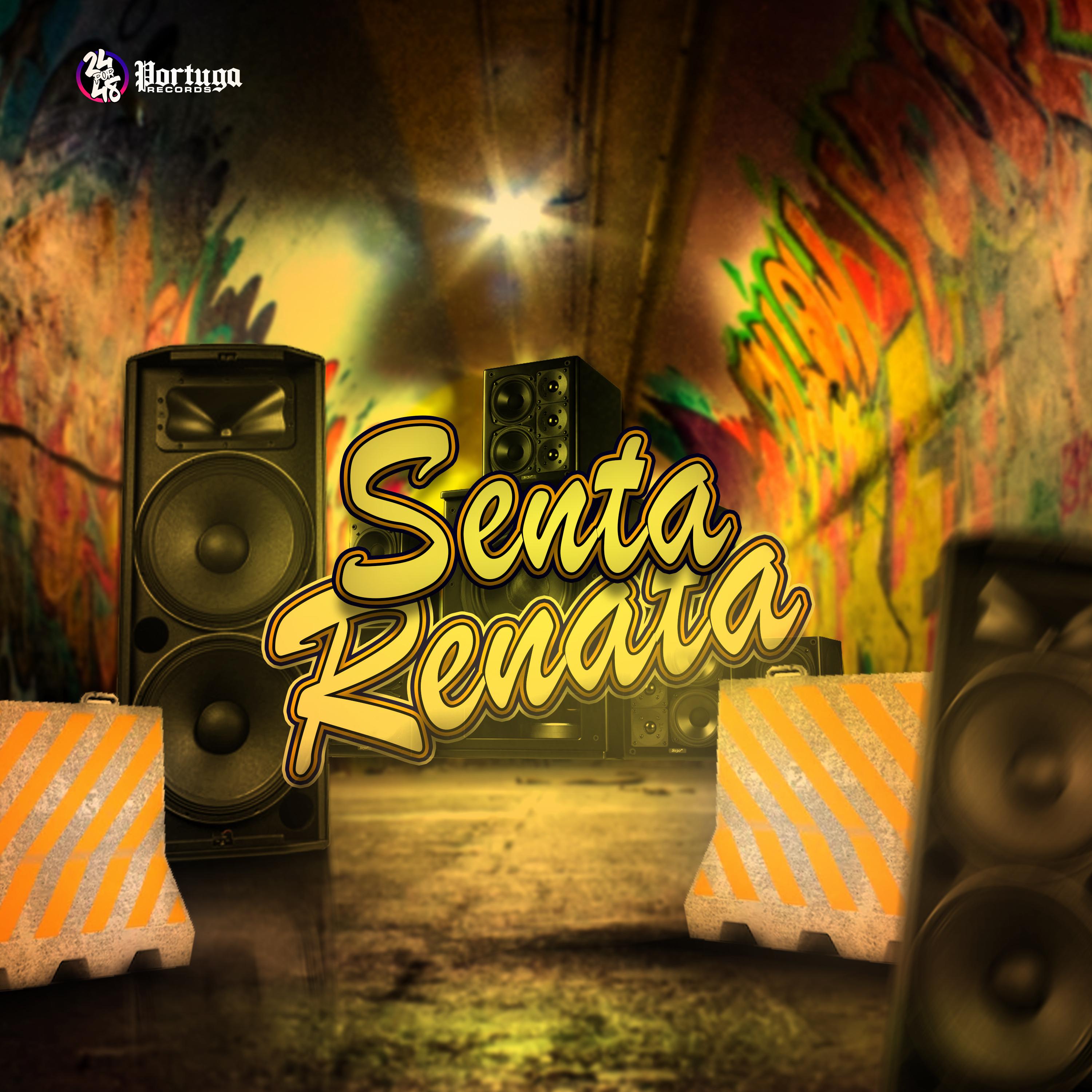 Постер альбома Senta Renata