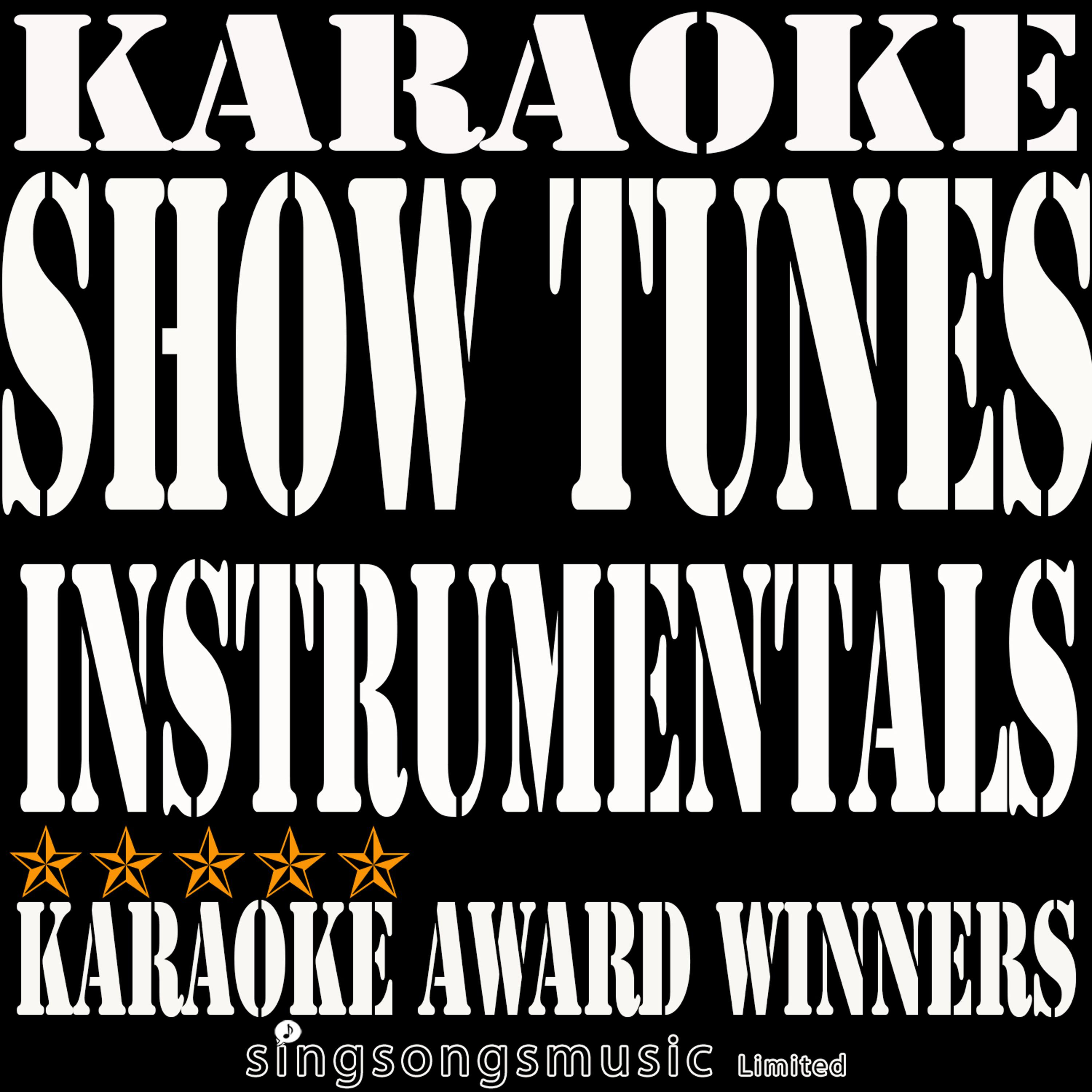Постер альбома Show Tunes Instrumentals Karaoke, Vol. 4