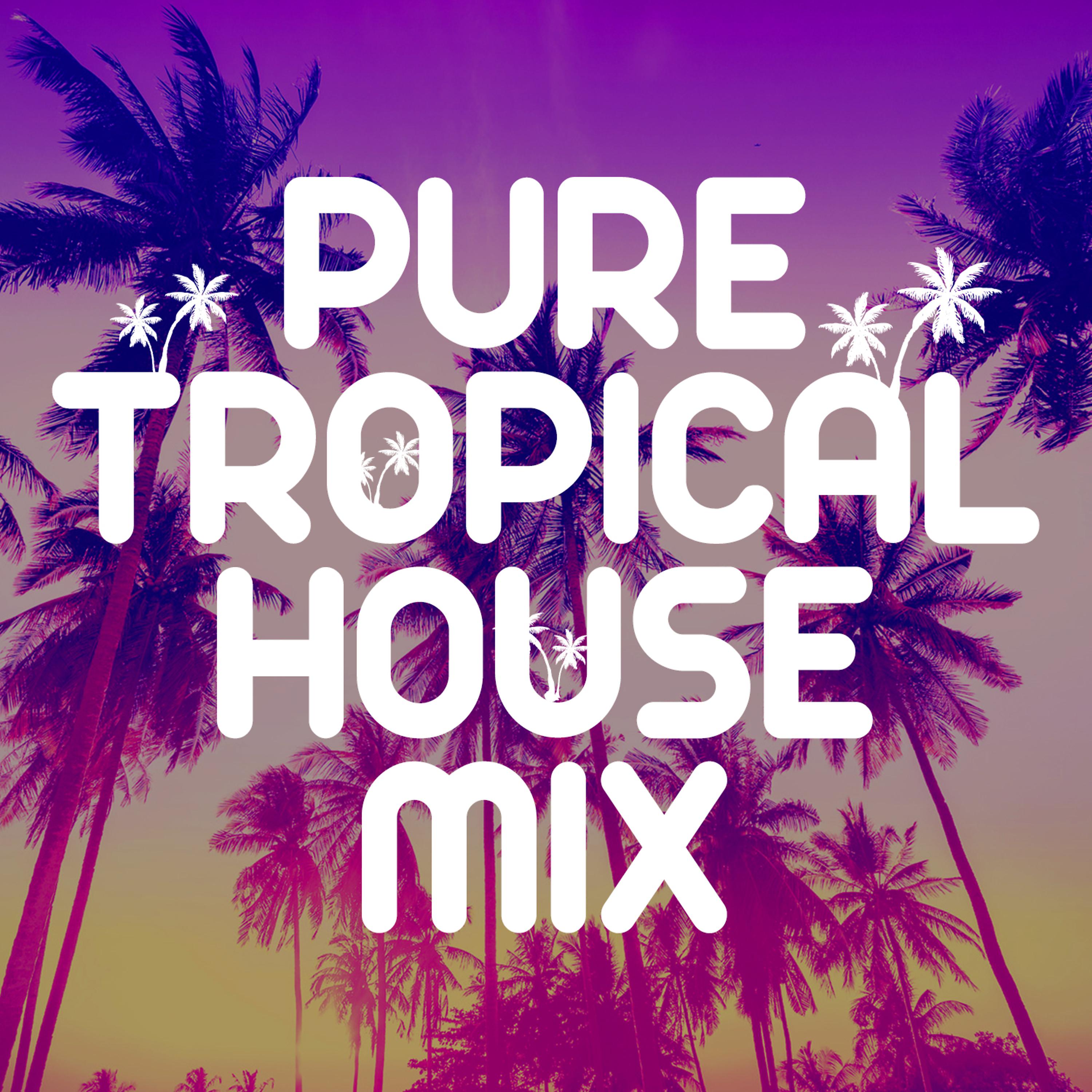 Постер альбома Pure Tropical House Mix