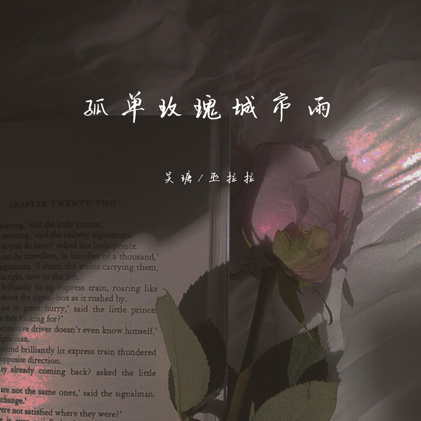 Постер альбома 孤单玫瑰城市雨