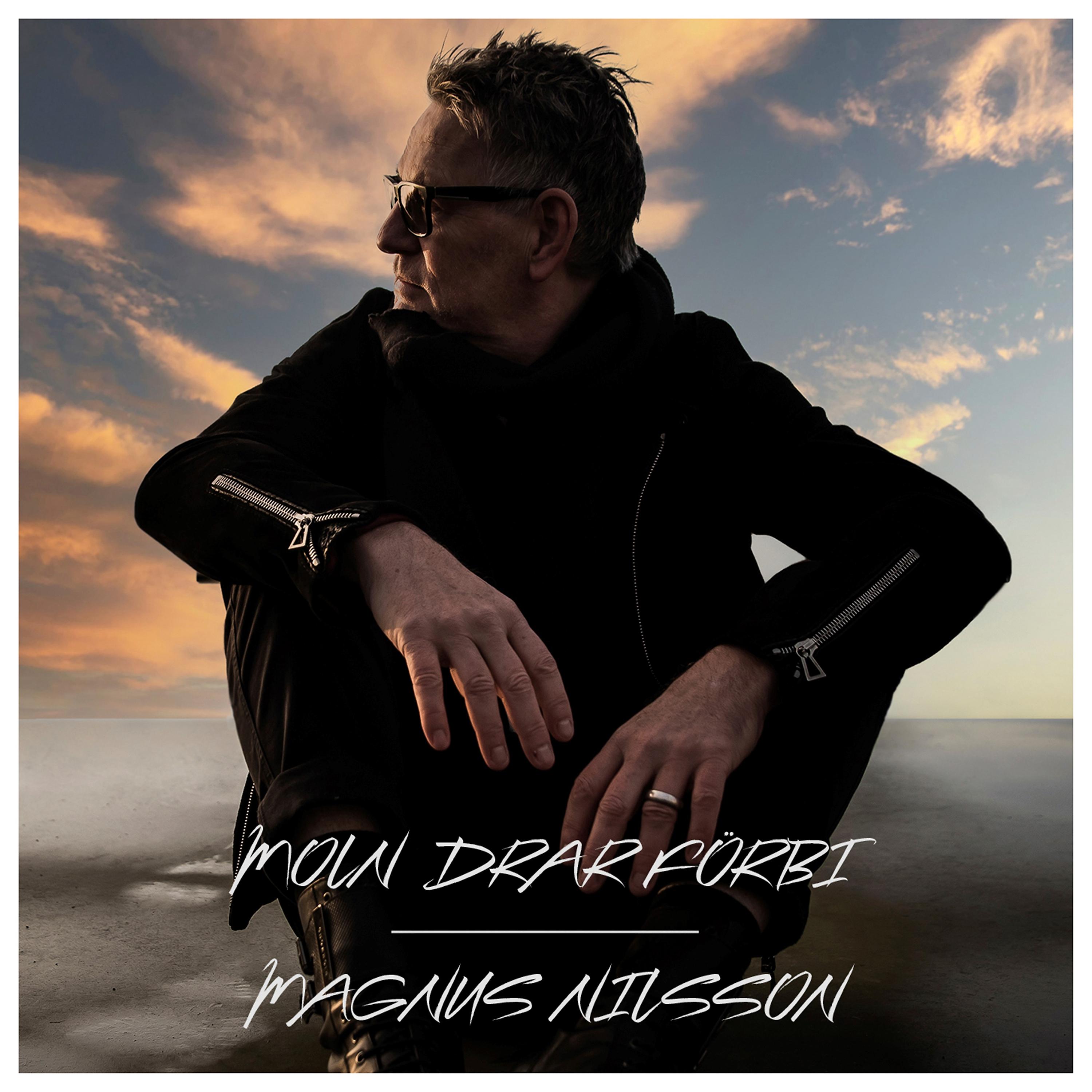 Постер альбома Magnus Nilsson