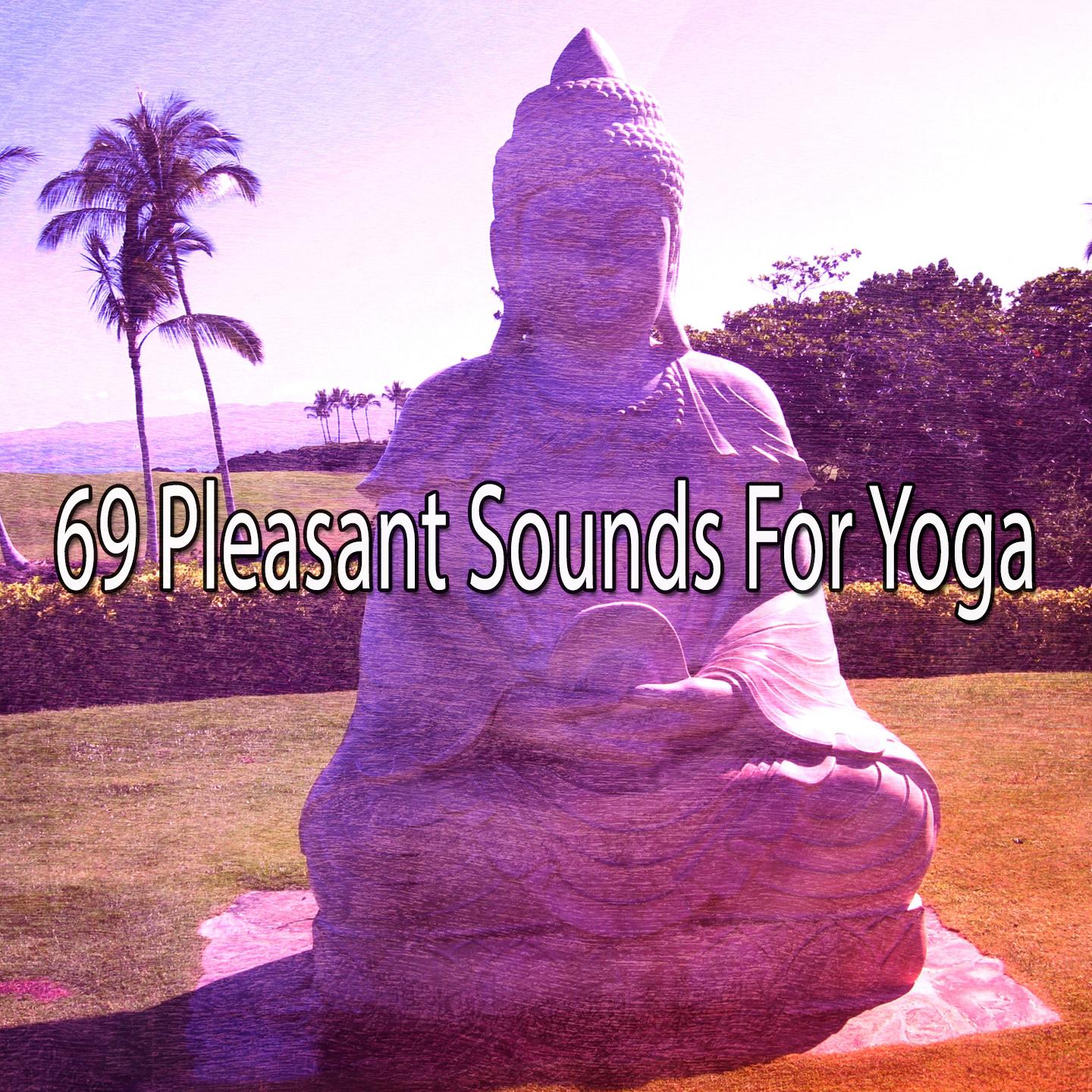 Постер альбома 69 Pleasant Sounds For Yoga
