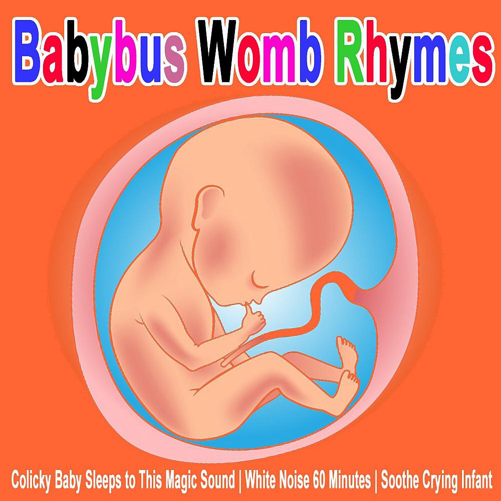 Постер альбома Babybus Womb Rhymes (Colicky Baby Sleeps to This Magic Sound, White Noise 60 Minutes, Soothe Crying Infant)