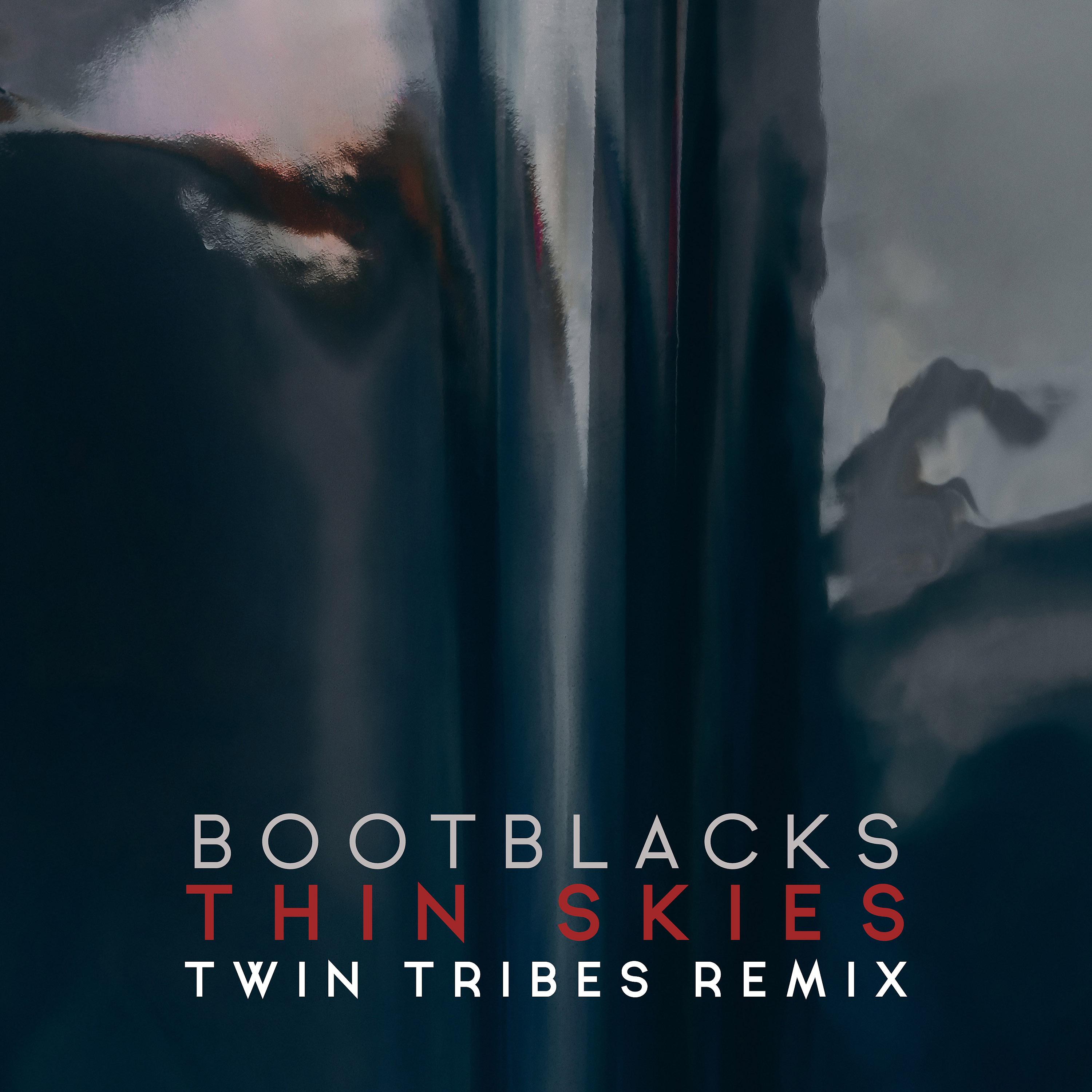 Постер альбома Thin Skies (Twin Tribes Remix)