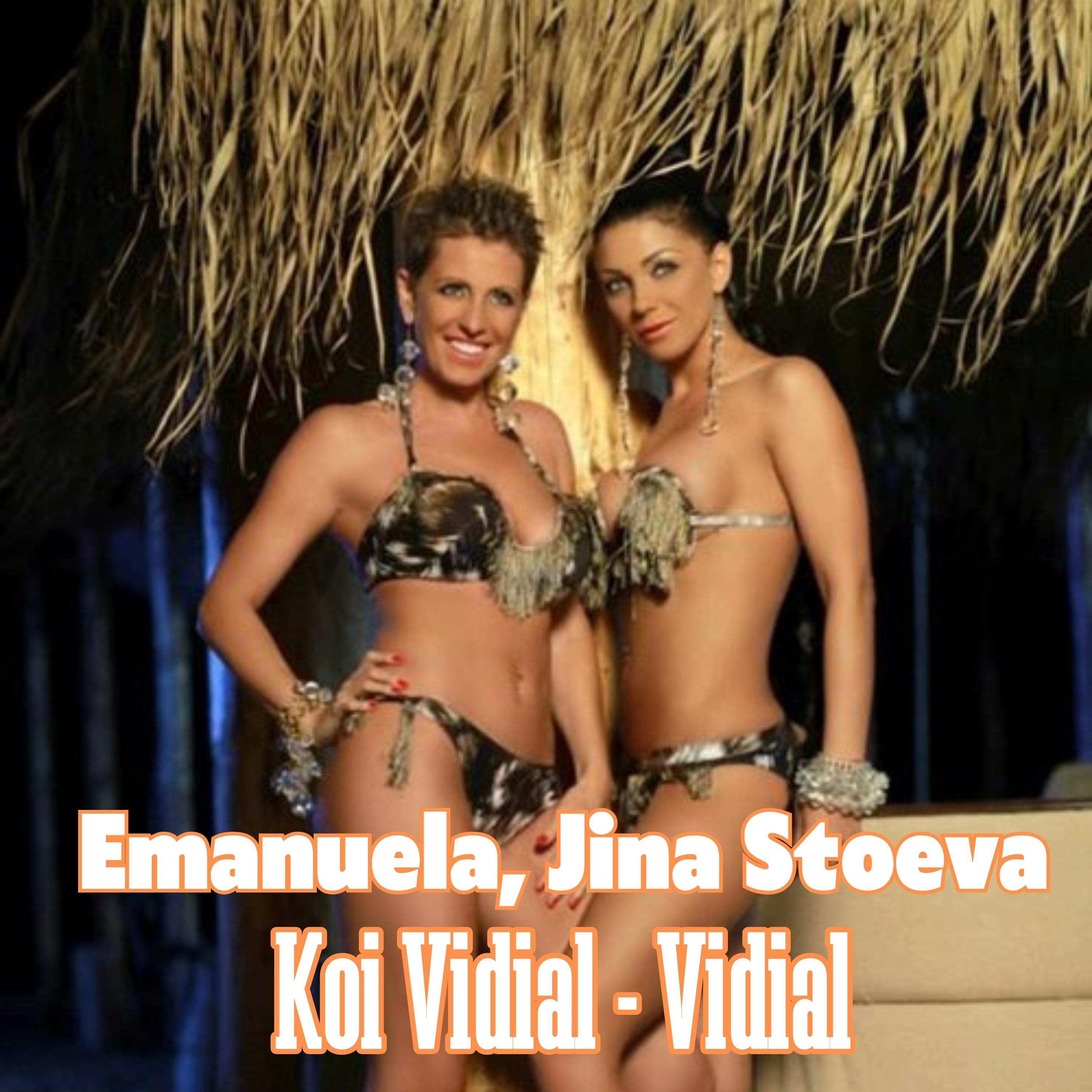 Постер альбома Koi Vidial - Vidial