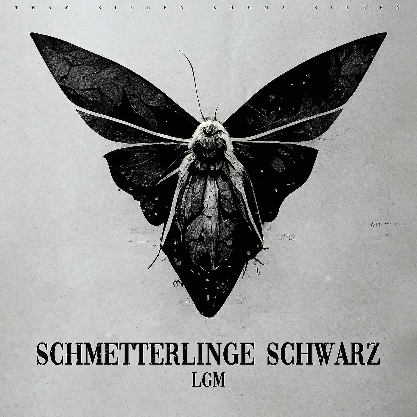 Постер альбома Schmetterlinge Schwarz