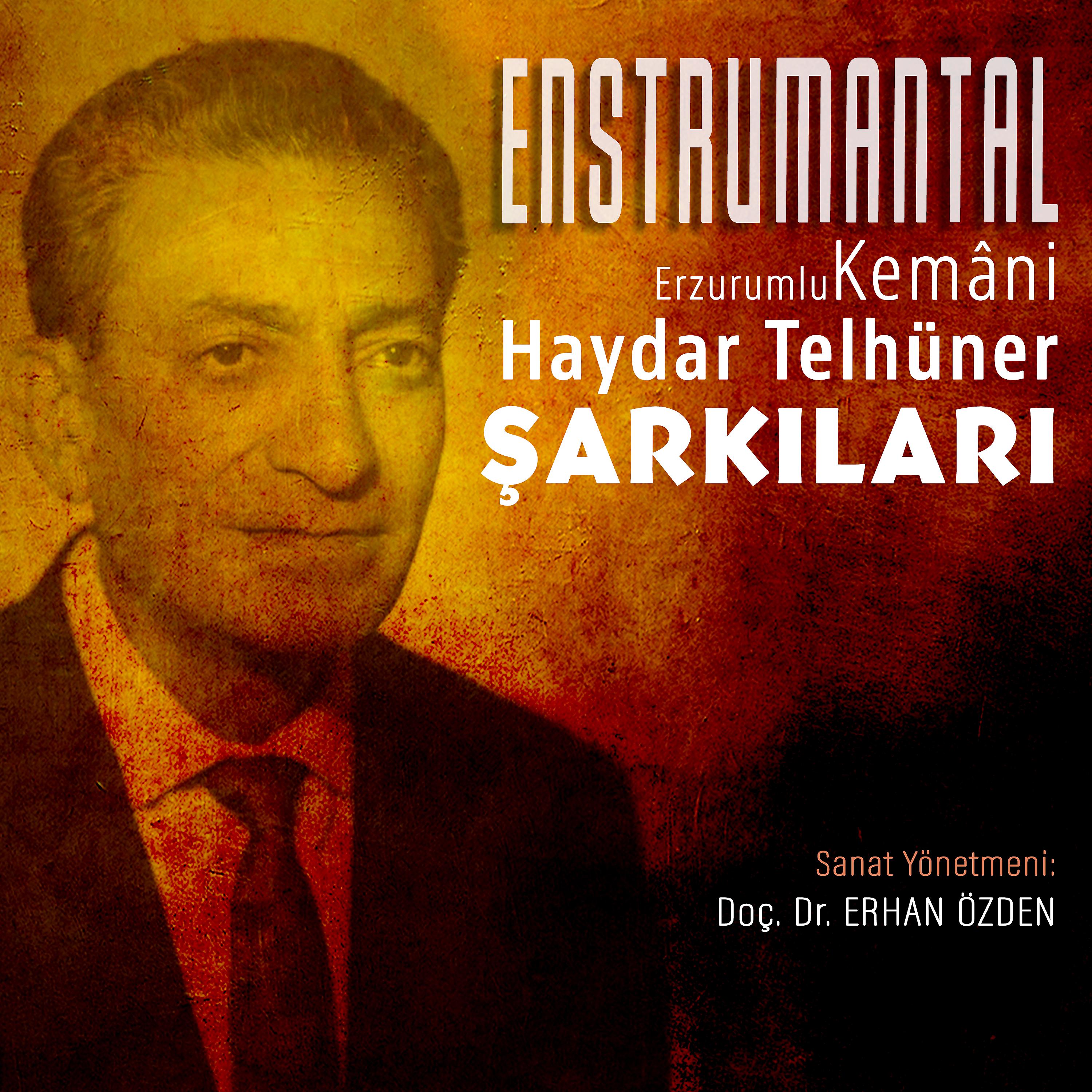Постер альбома Enstrumental Haydar Telhüner Şarkıları