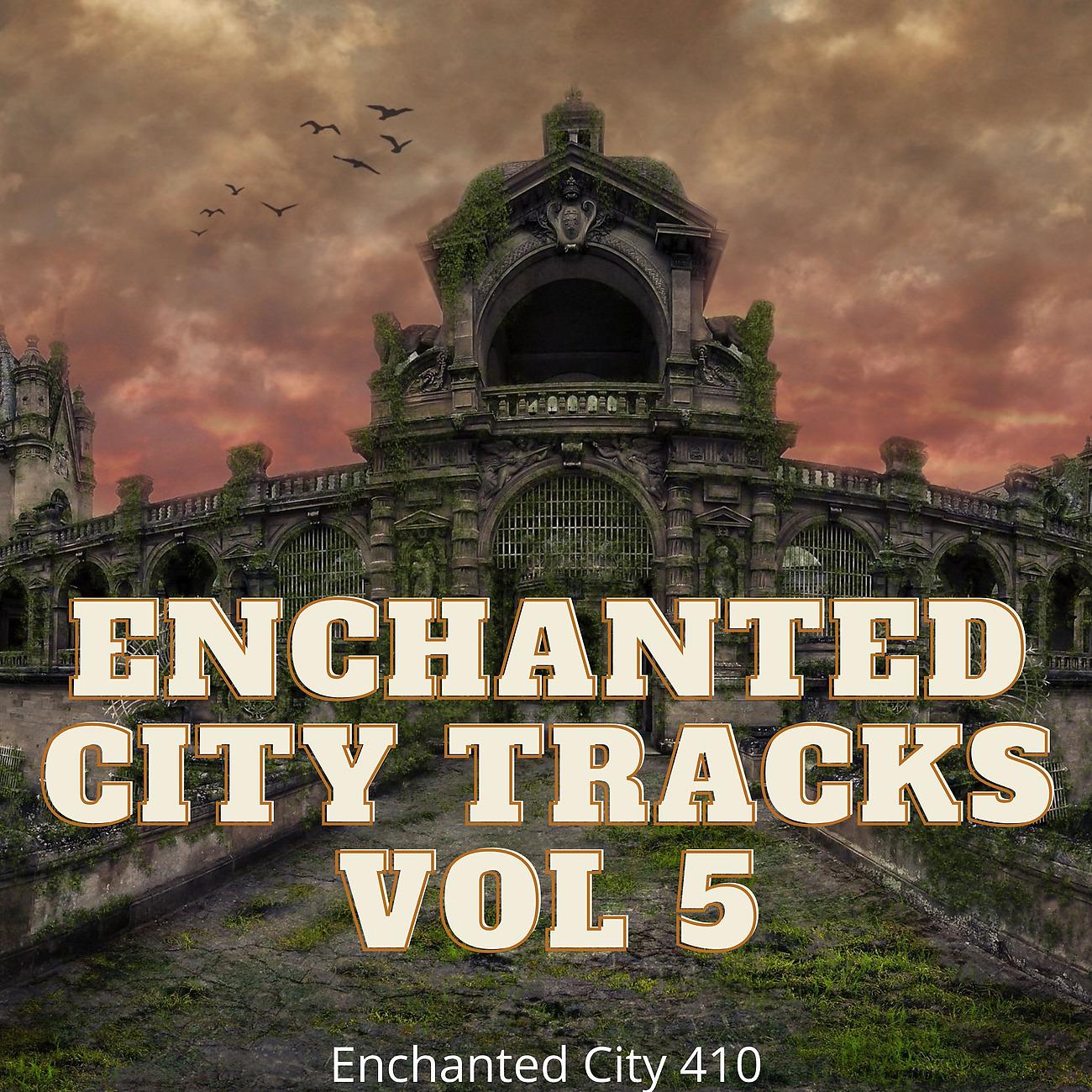Постер альбома Enchanted City Tracks Vol 5