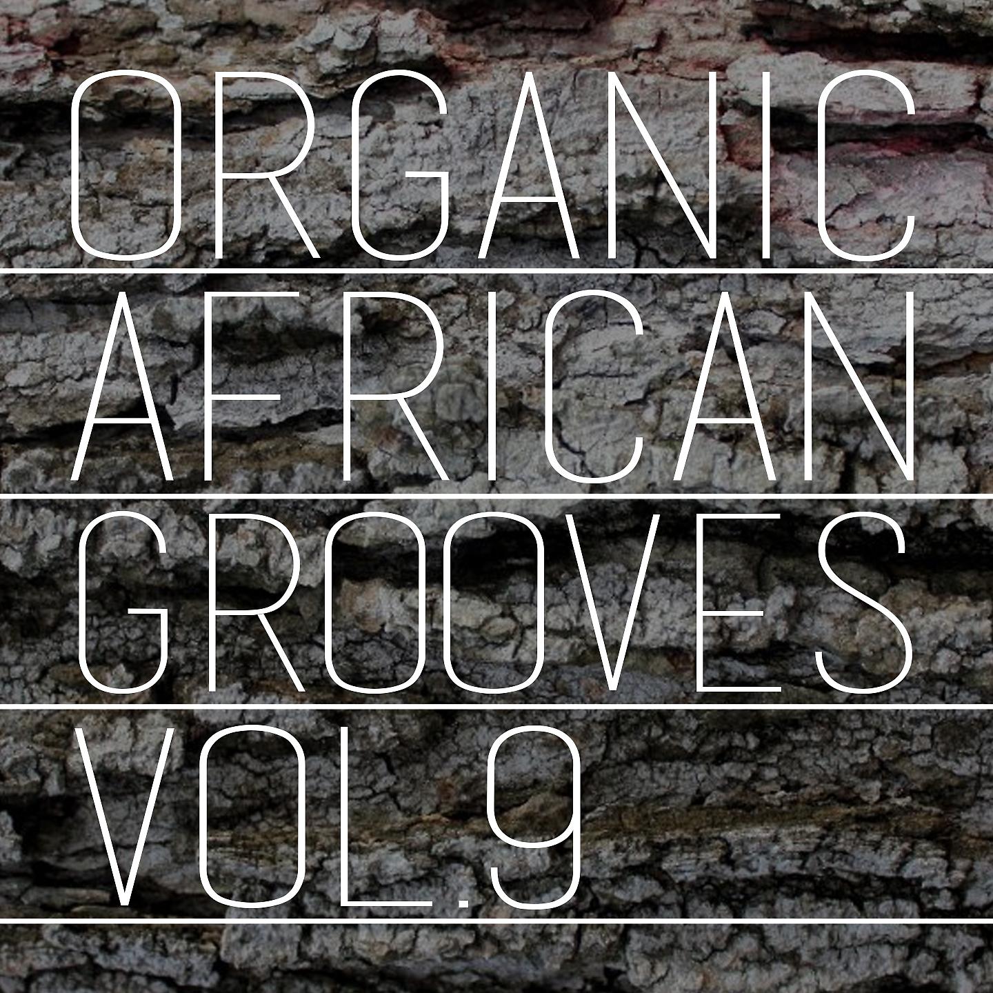 Постер альбома Organic African Grooves, Vol.9
