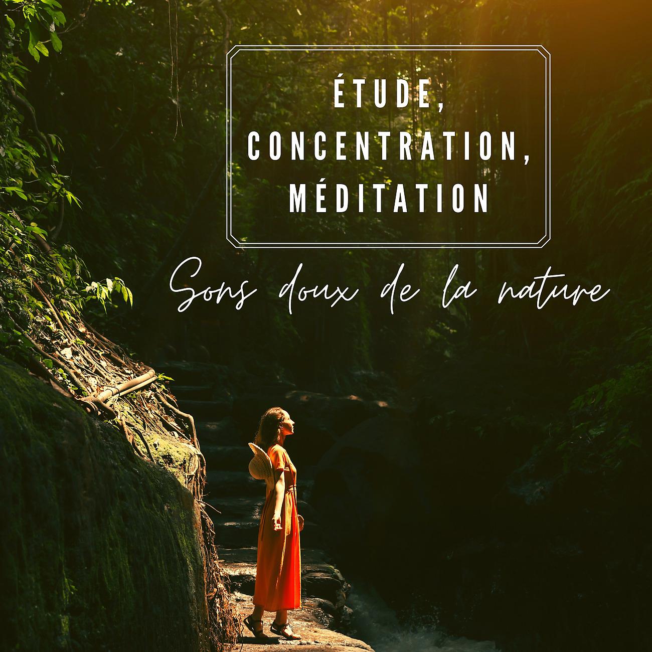 Постер альбома Étude, concentration, méditation