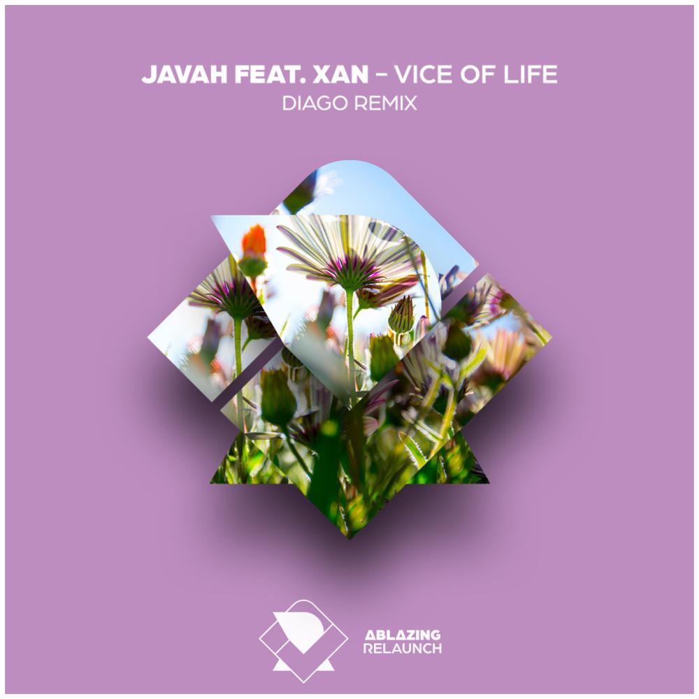 Постер альбома Vice Of Life (Remixes)