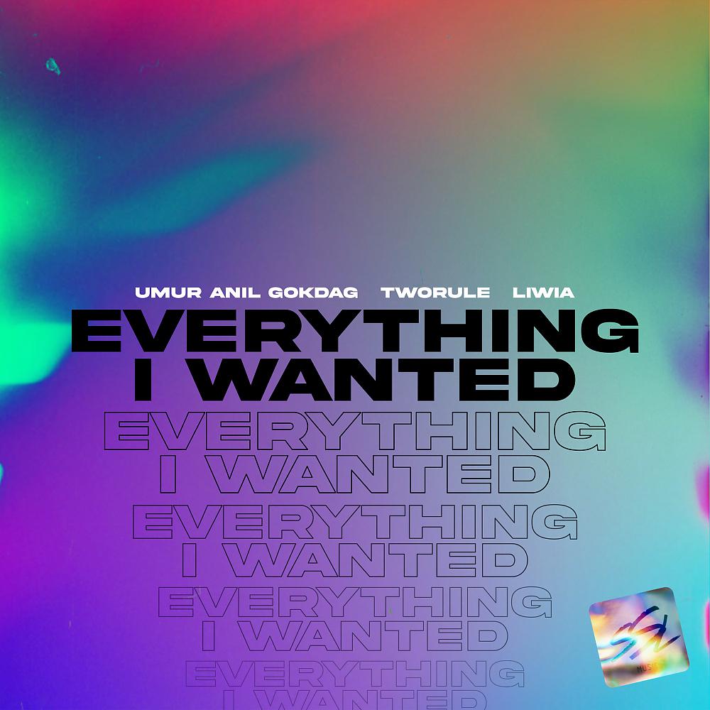 Постер альбома Everything I Wanted
