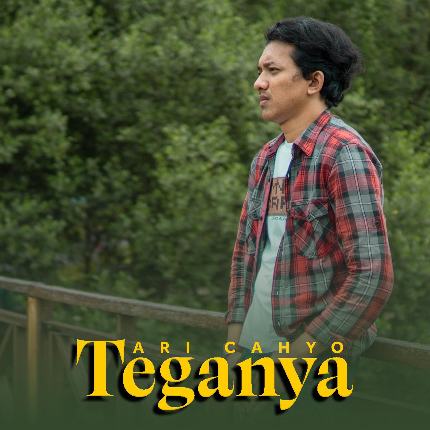 Постер альбома Teganya