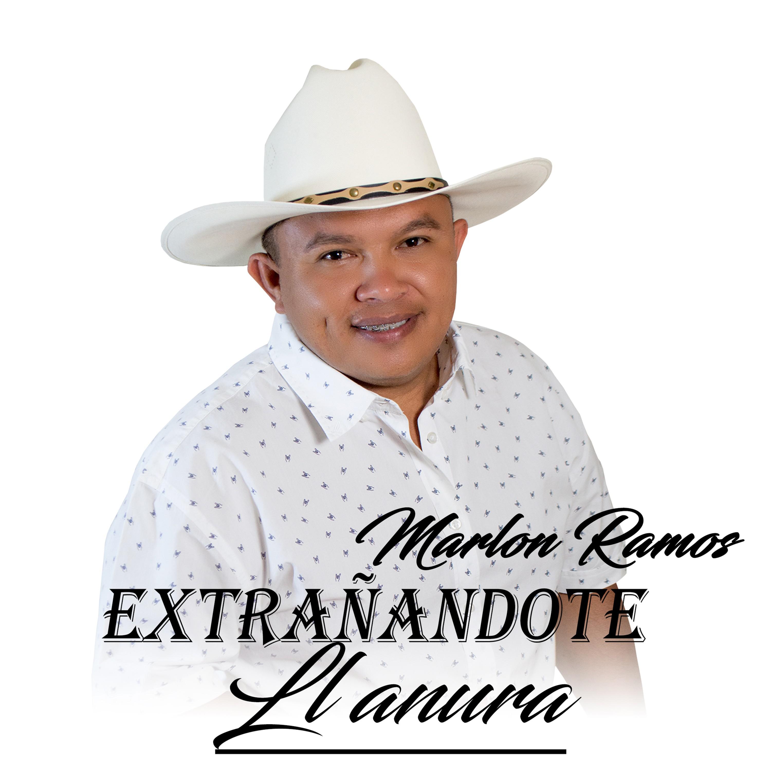 Постер альбома Extrañándote Llanura