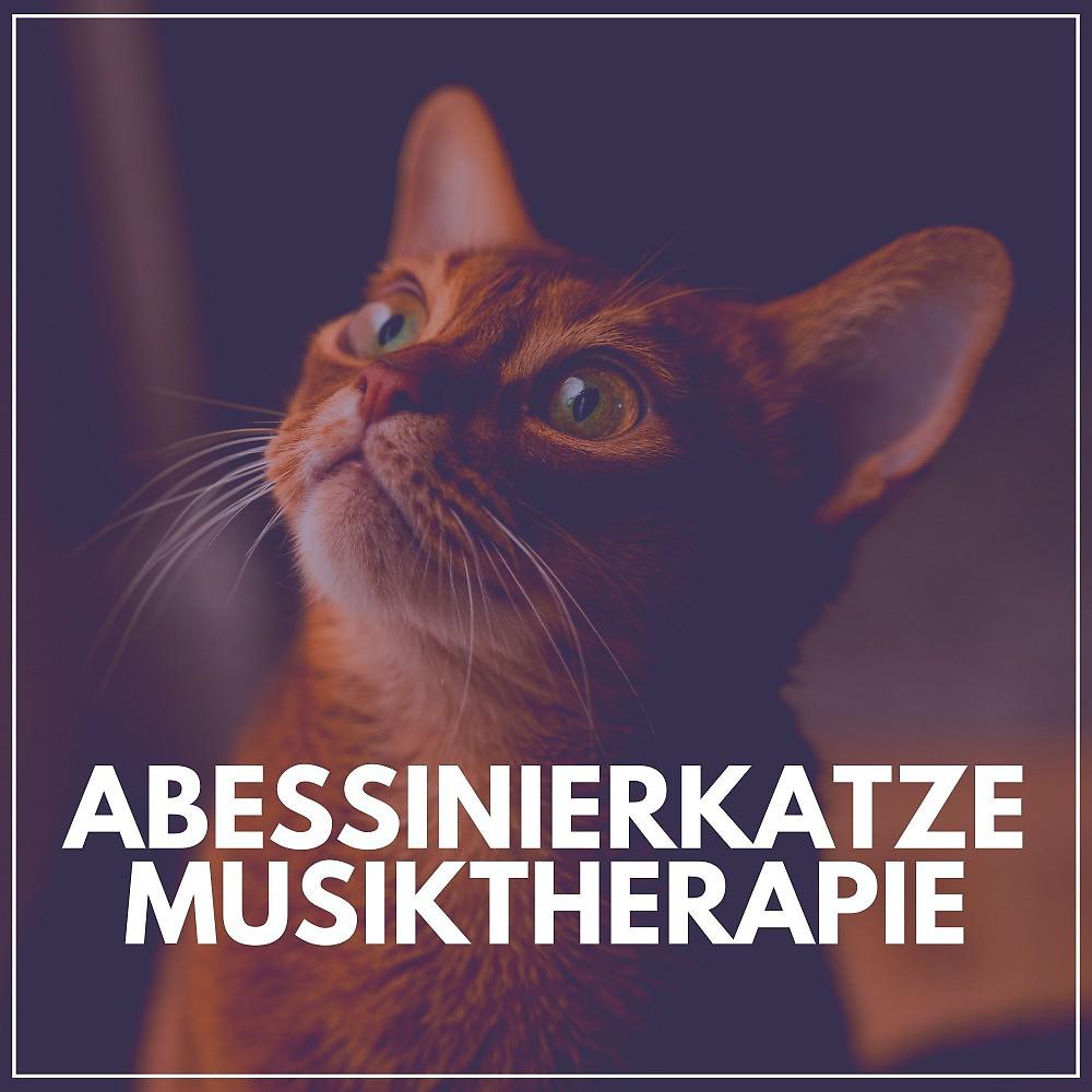 Постер альбома Abessinierkatze Musiktherapie