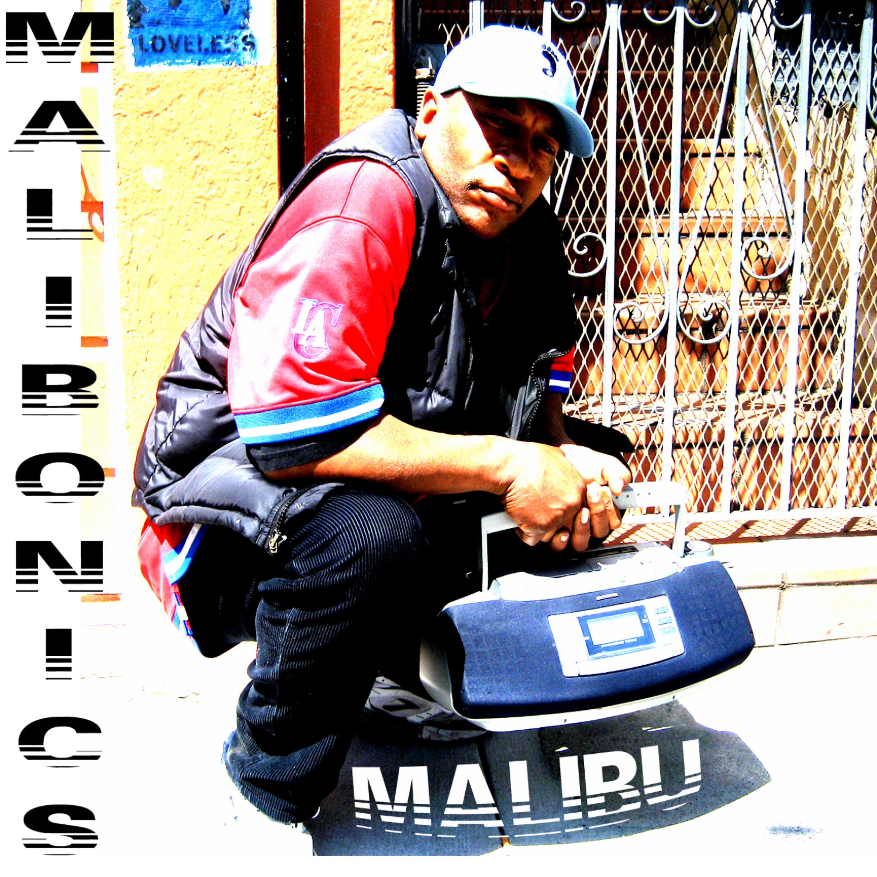 Постер альбома Malibonics